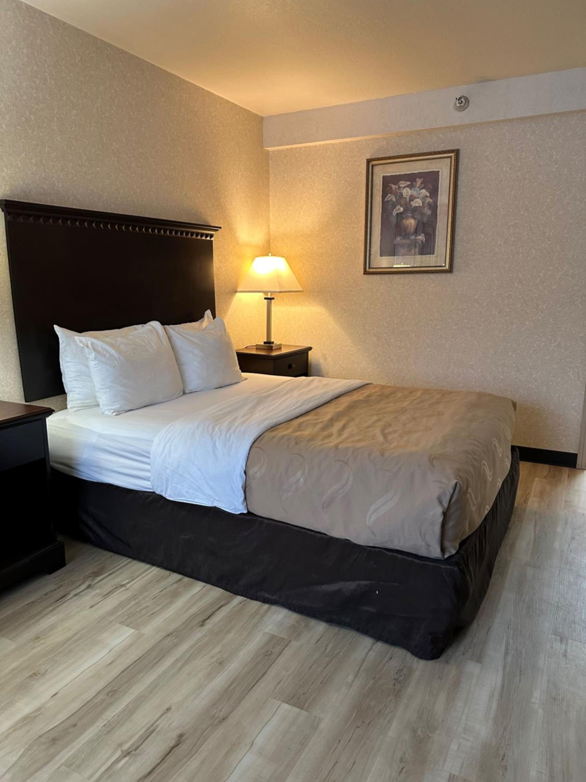 Queen Room with Mobility Access and Bathtub with Grab Bars, Non-Smoking - Photo 1