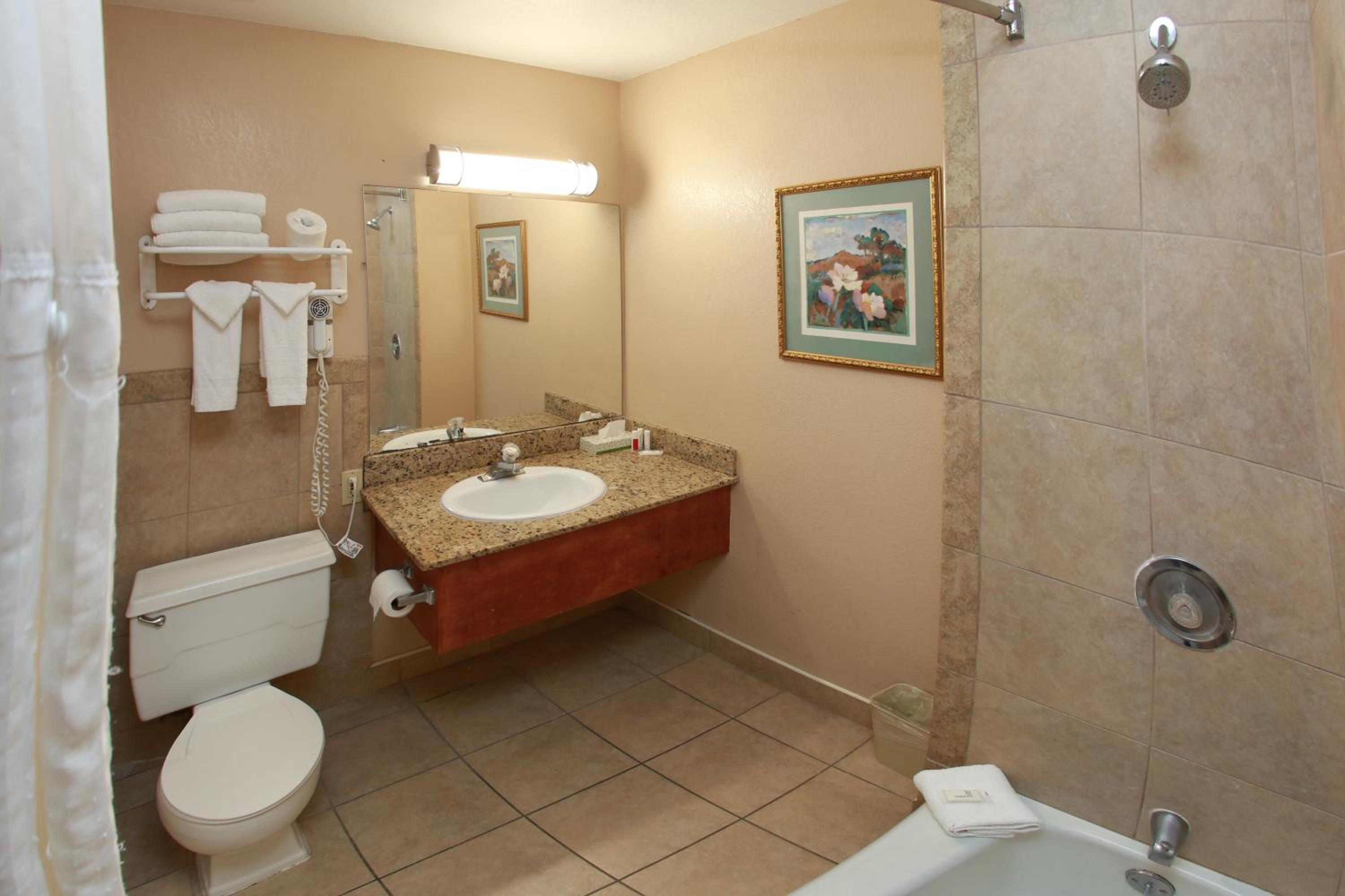 Deluxe King Room - Non-Smoking - Photo 11