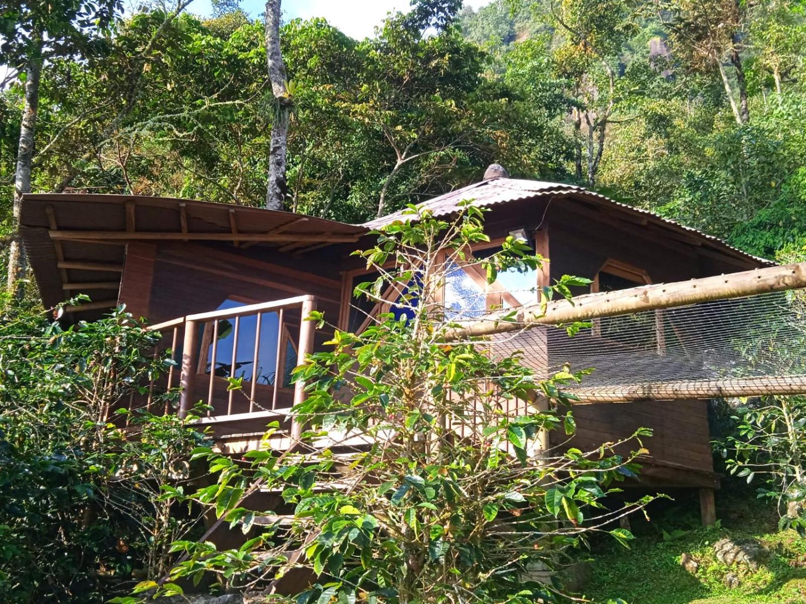 Bungalow photo 3