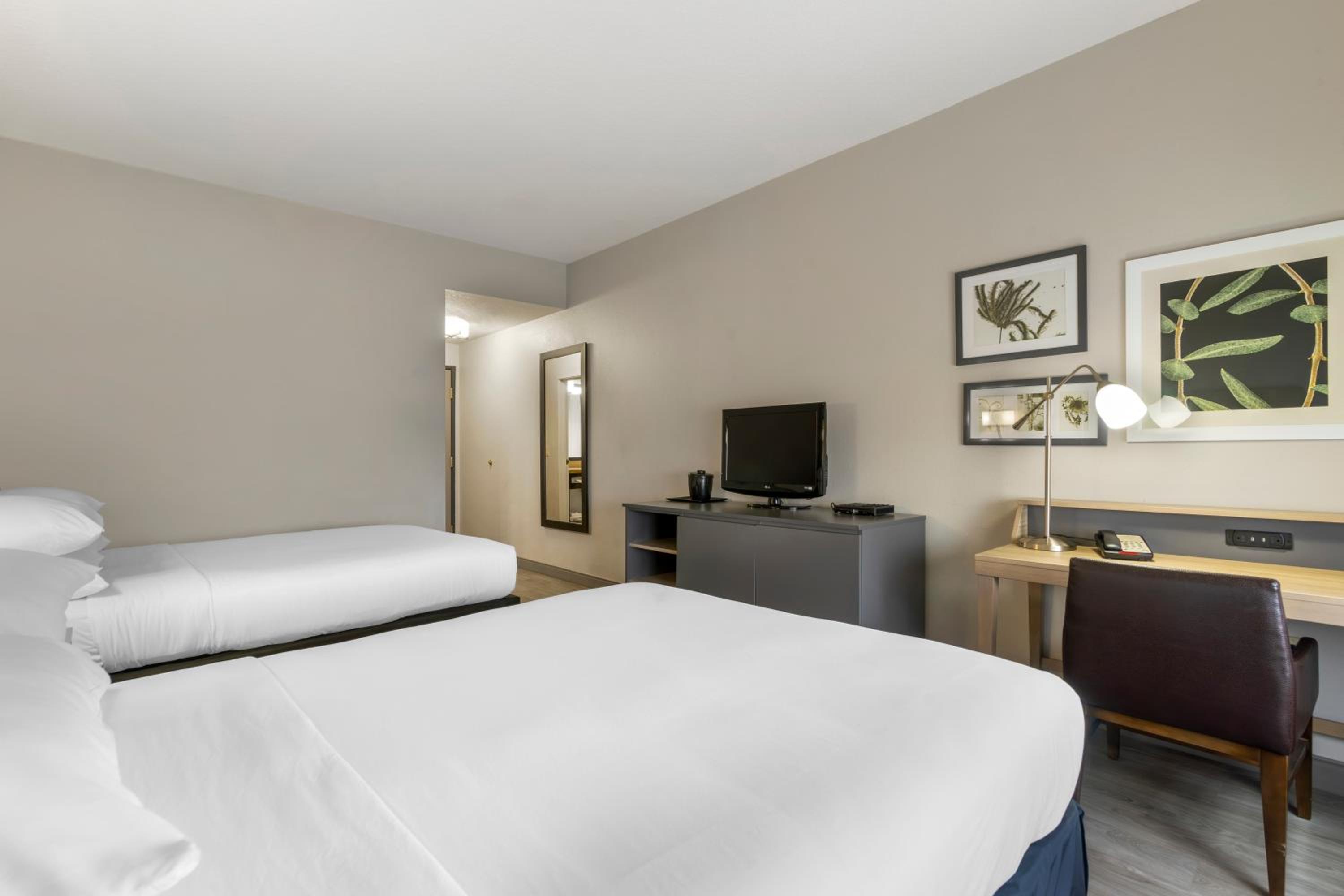 One-Bedroom Suite with Two Queen Beds and Sofa Bed - Photo 5