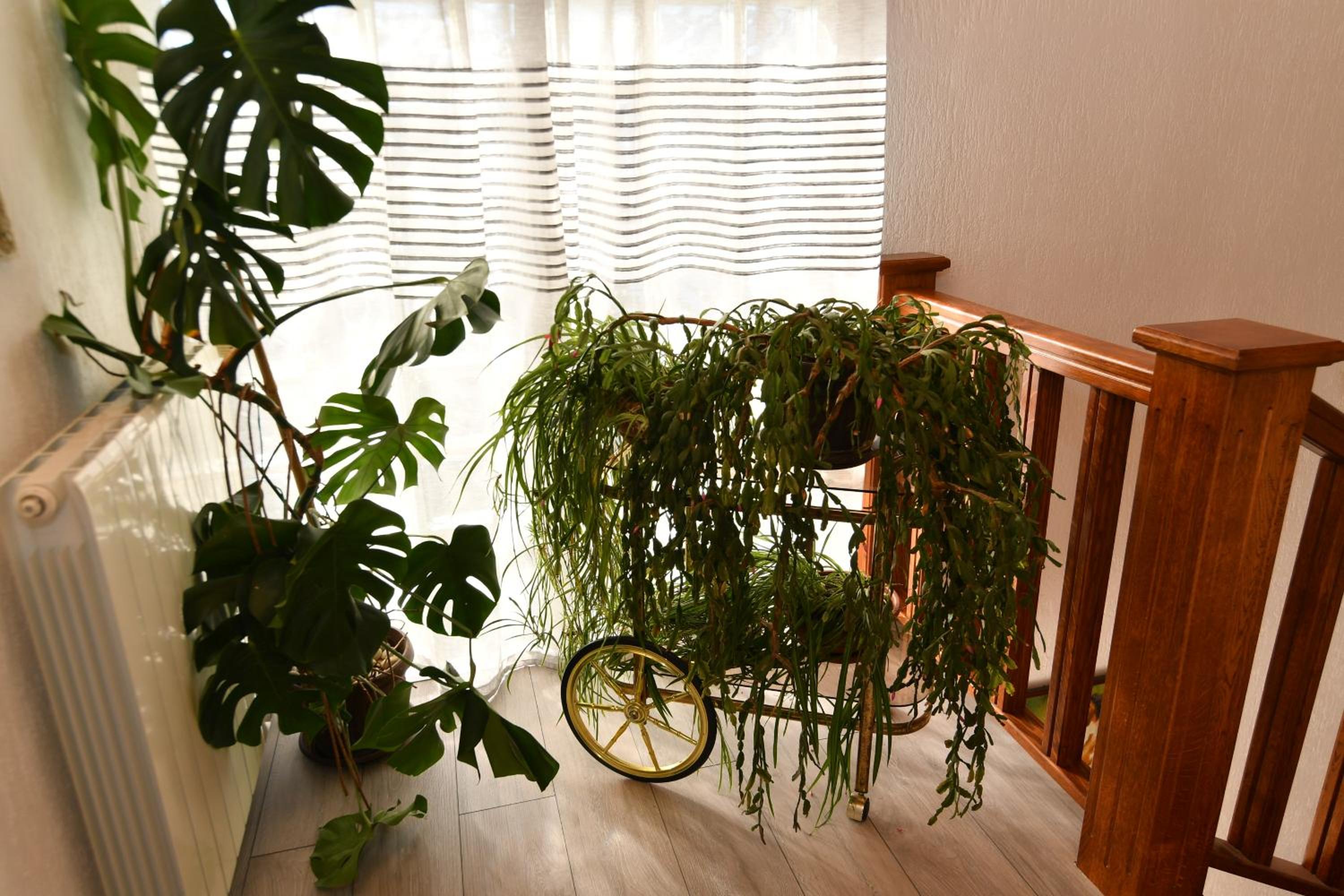 Two-Bedroom Apartment - Photo 60