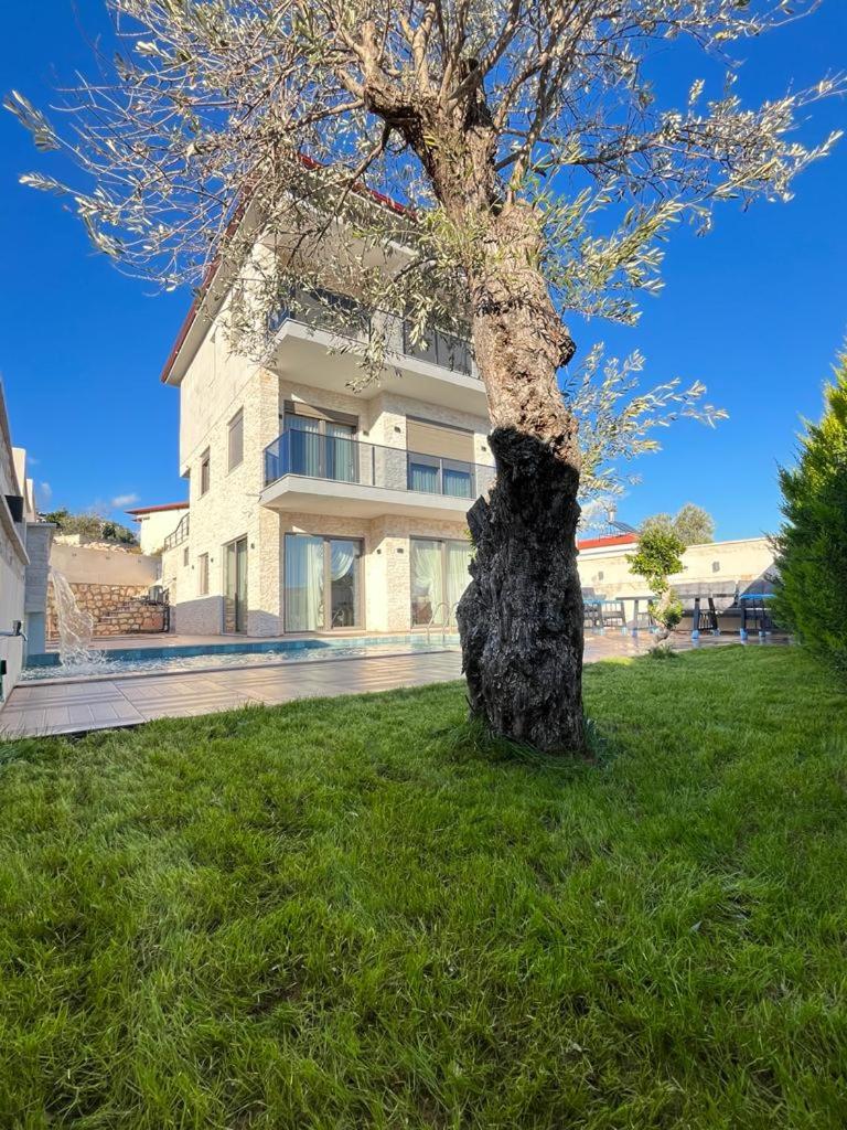 Villa photo 2