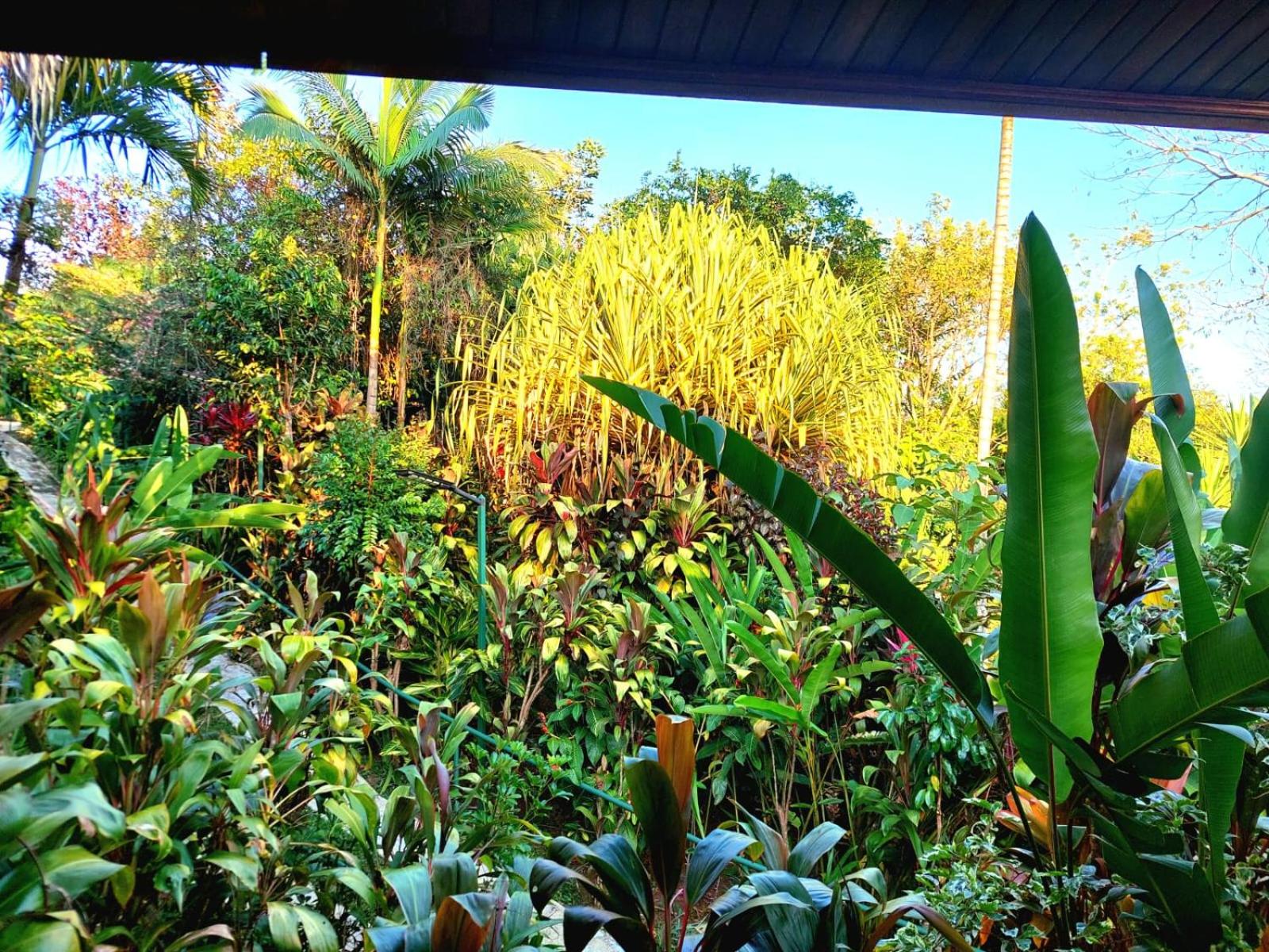 Bungalow with Patio photo 2