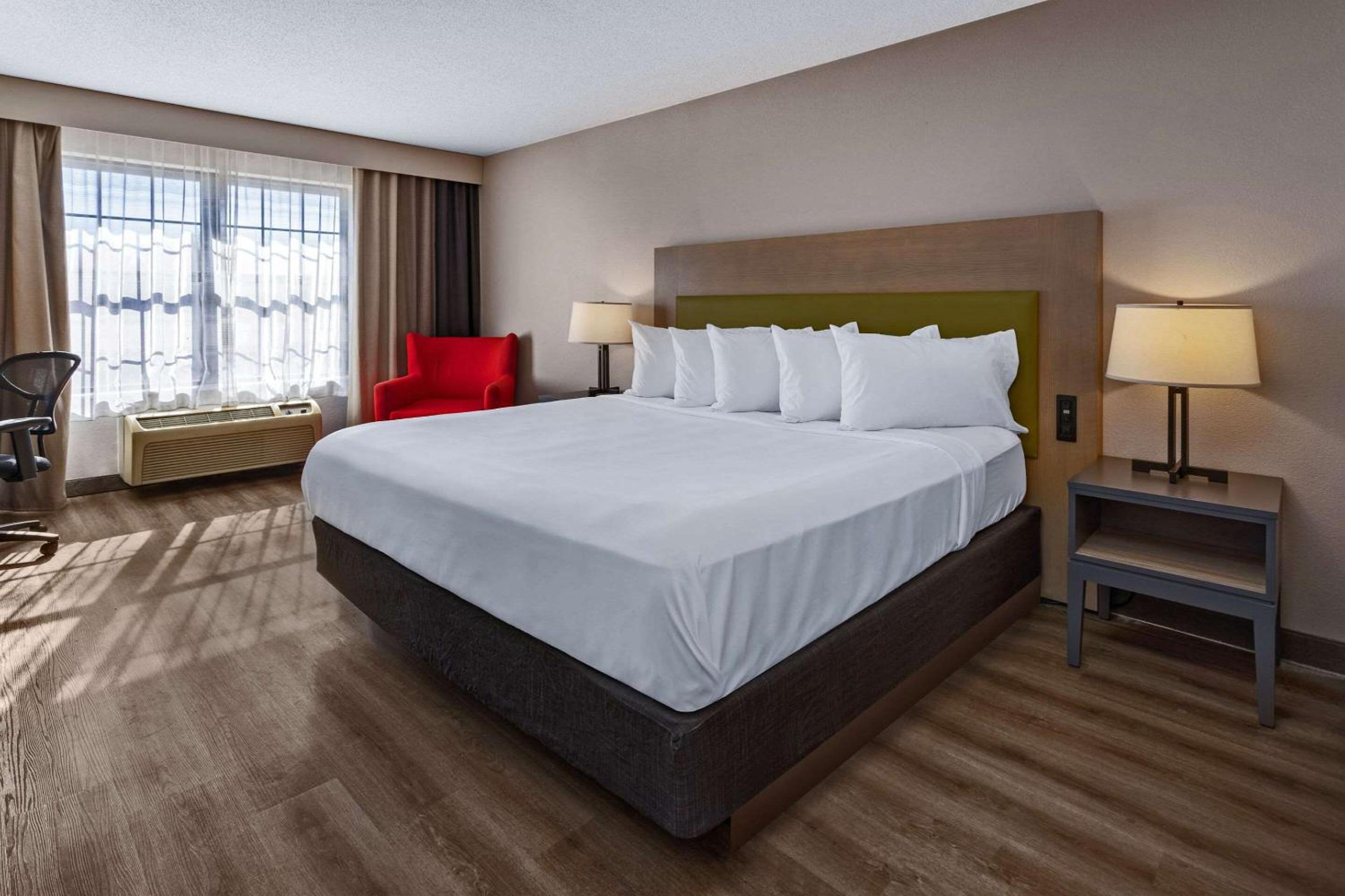 King Room - Photo 8