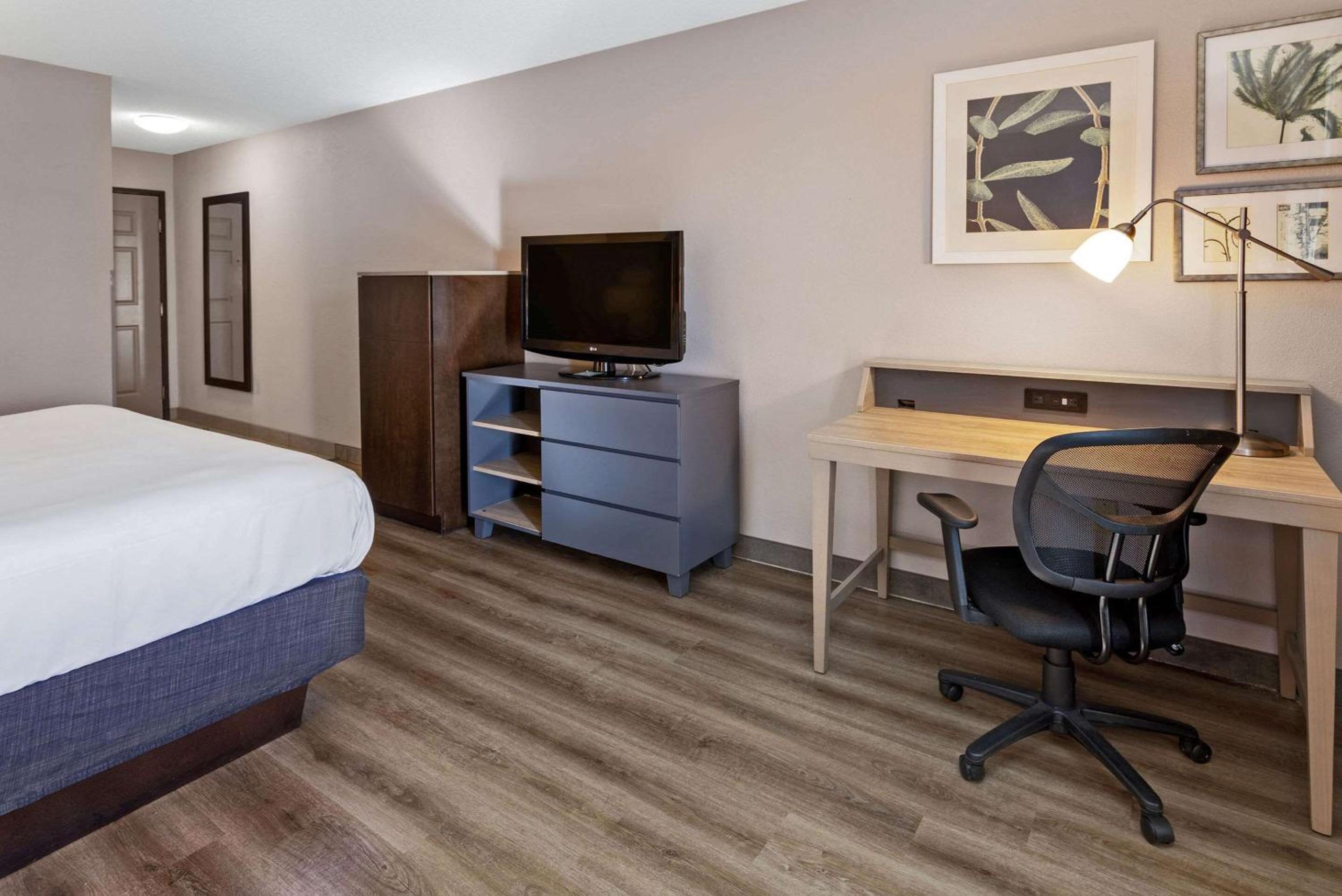 King Room - Photo 3