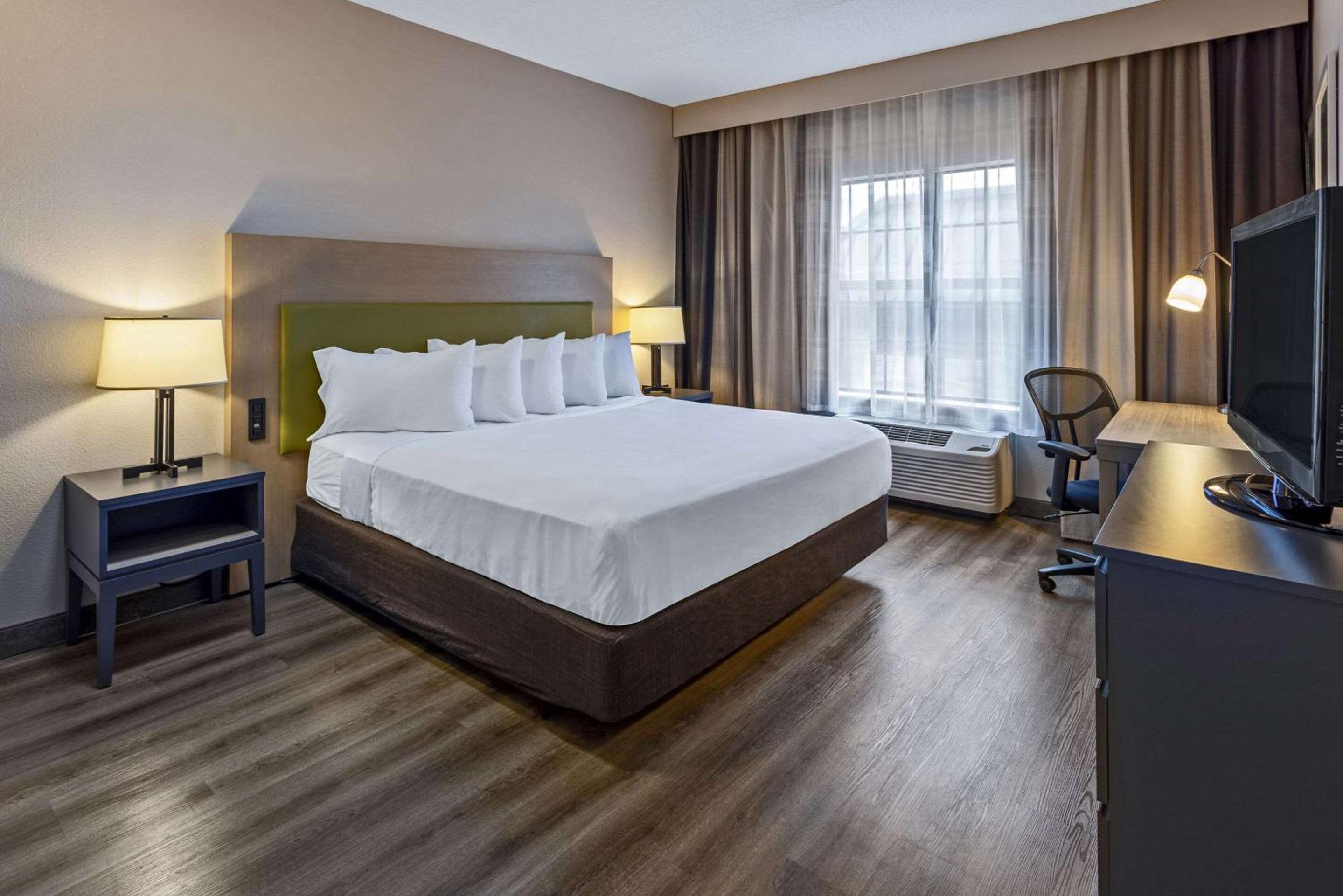King Room - Photo 5