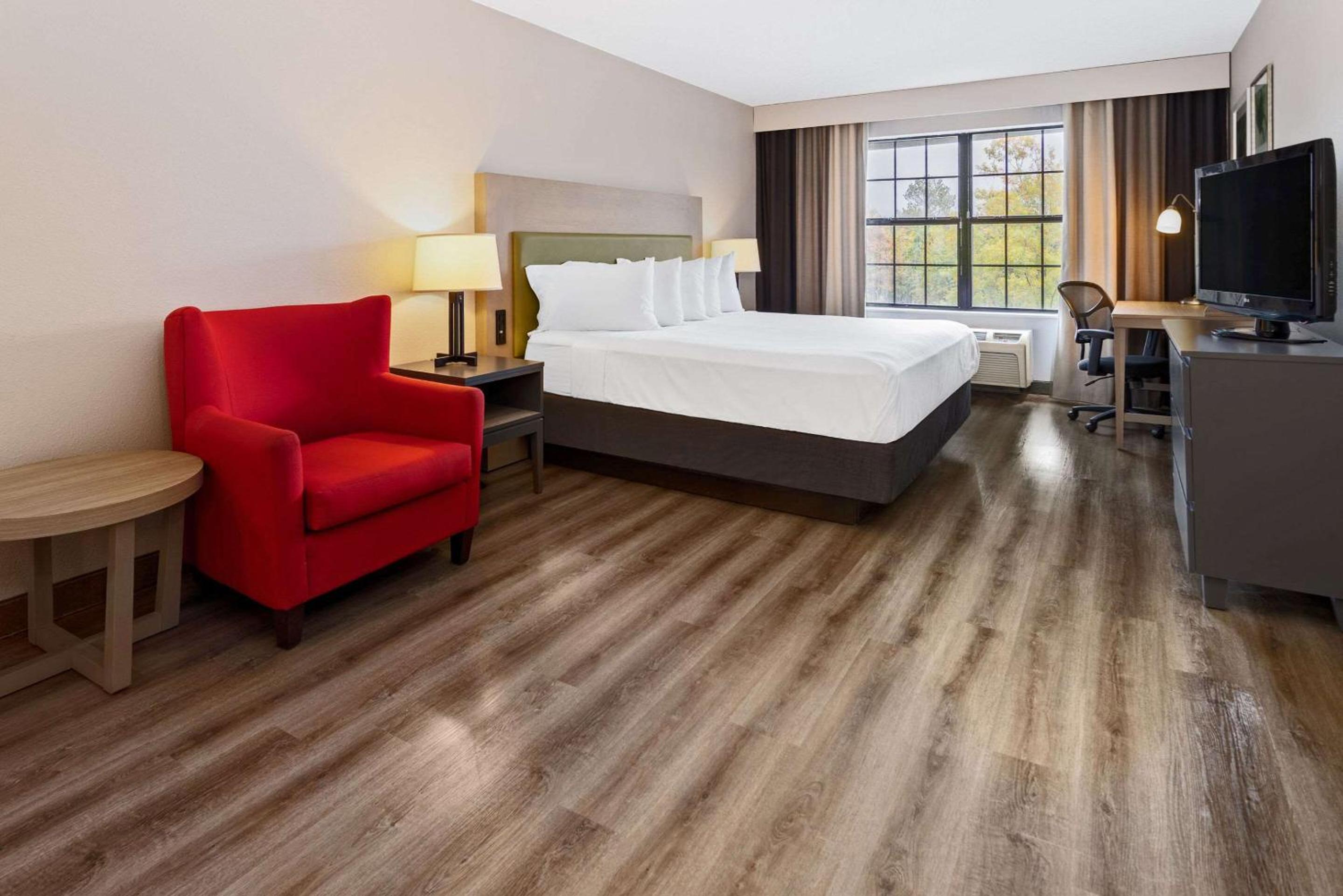 King Room - Photo 6