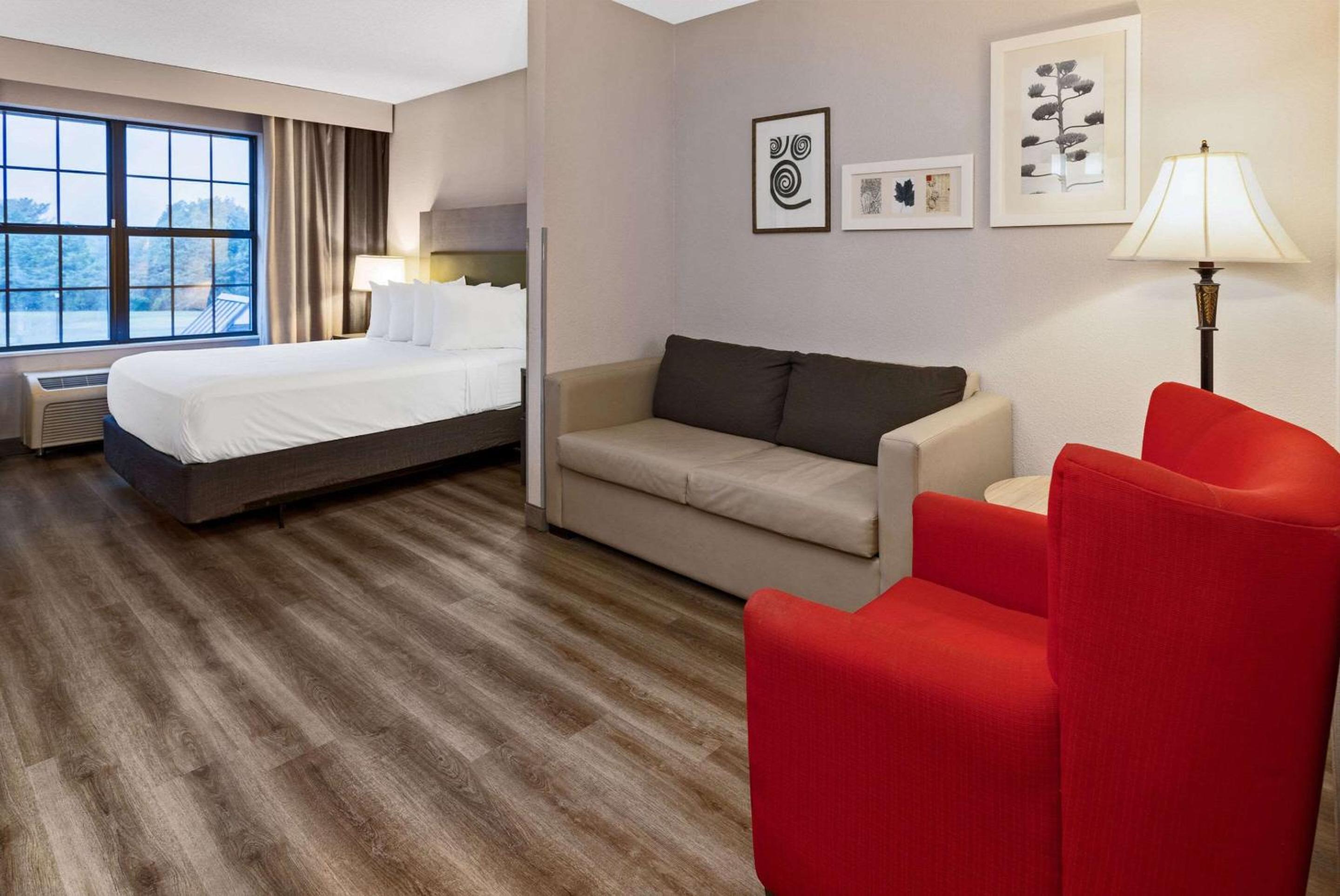 Queen Studio Suite - Disability Access/Non-Smoking - Photo 7
