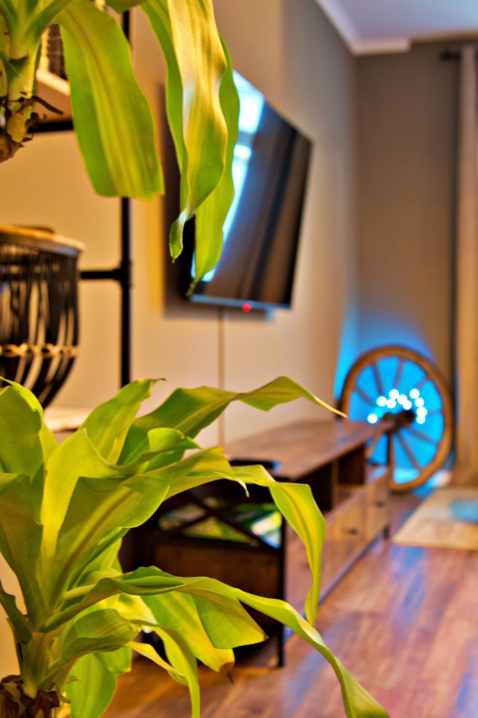 Two-Bedroom Apartment photo 1