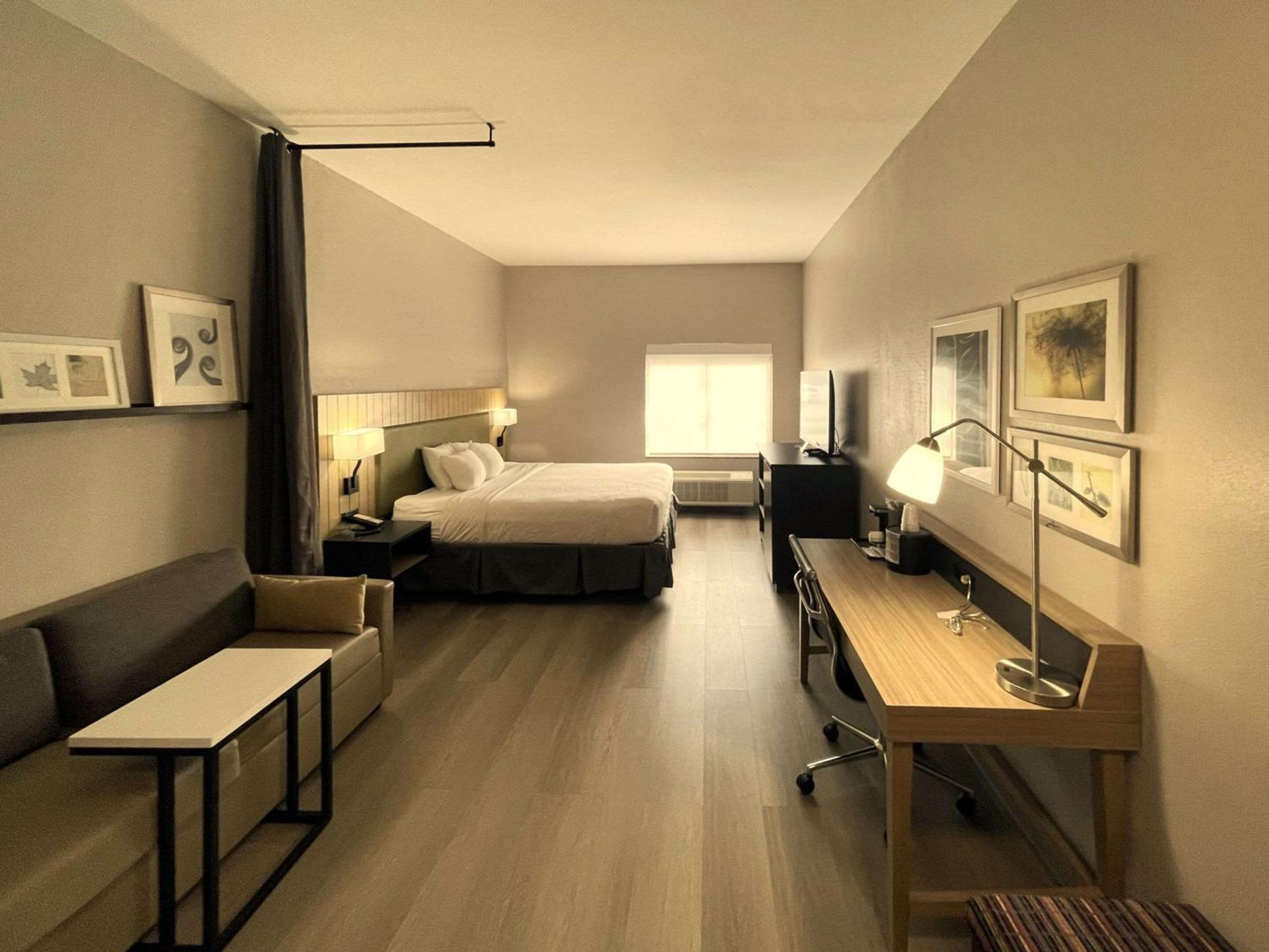One-Bedroom Suite - Photo 1