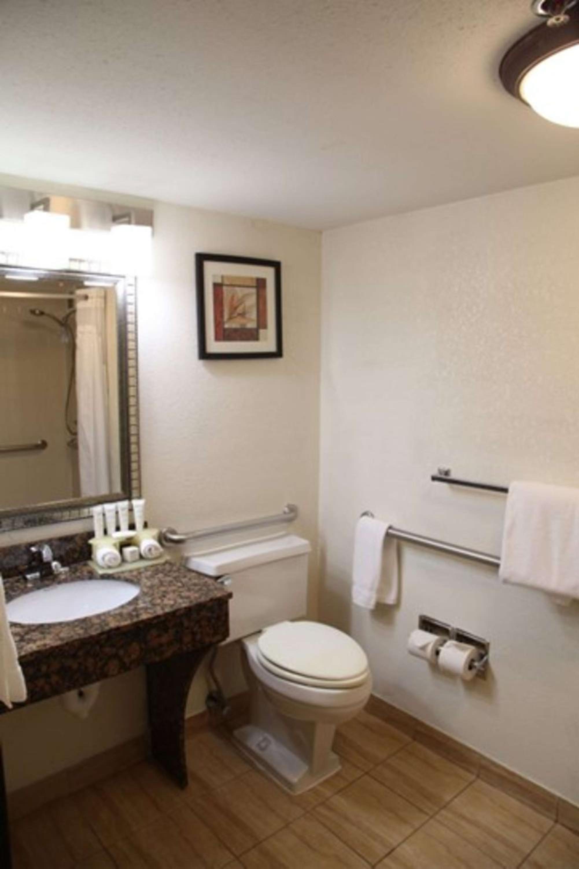 Queen Room with One Queen Bed (Non Smoking) (Accessible) photo 3