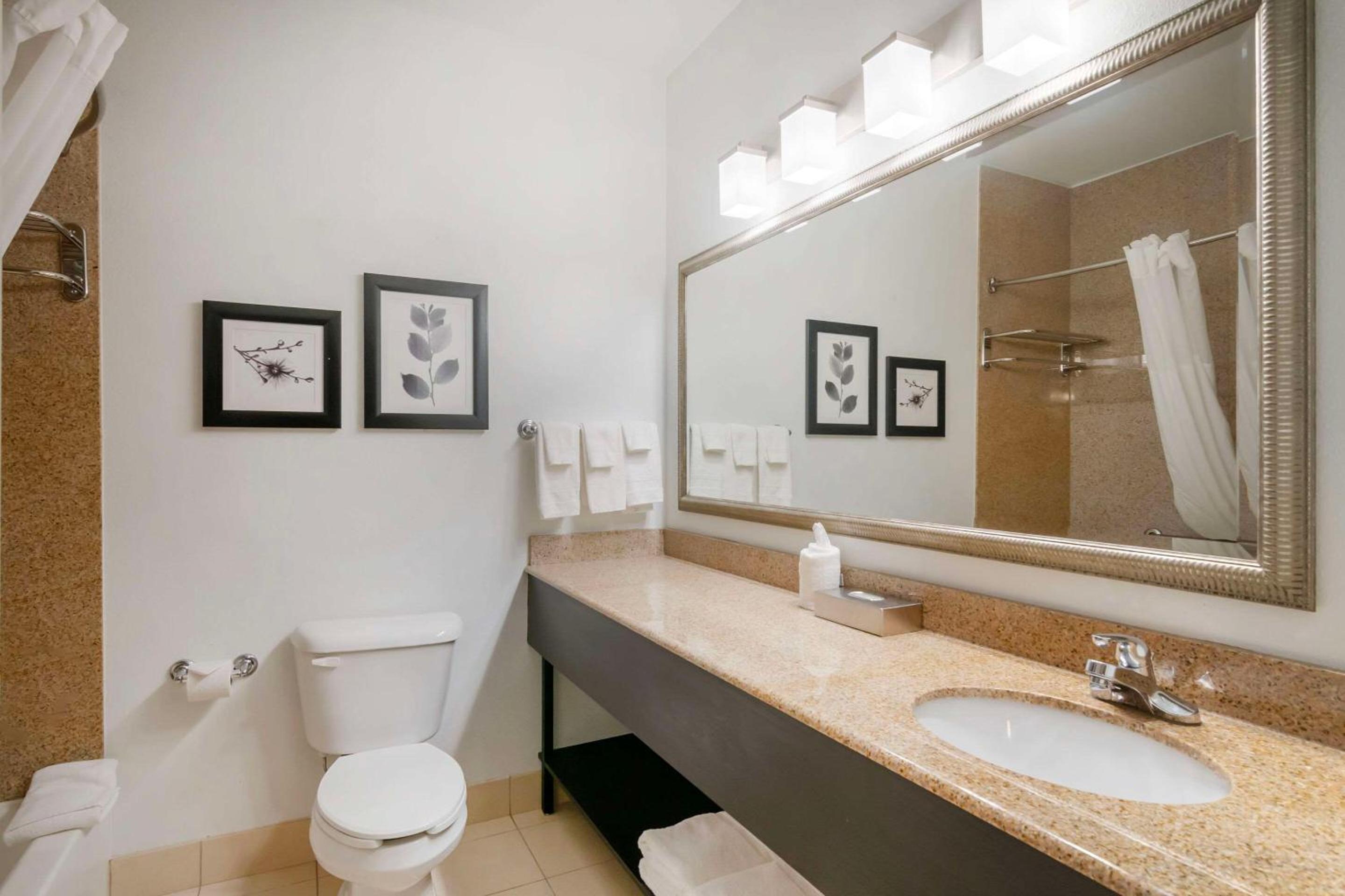King Room - Photo 8