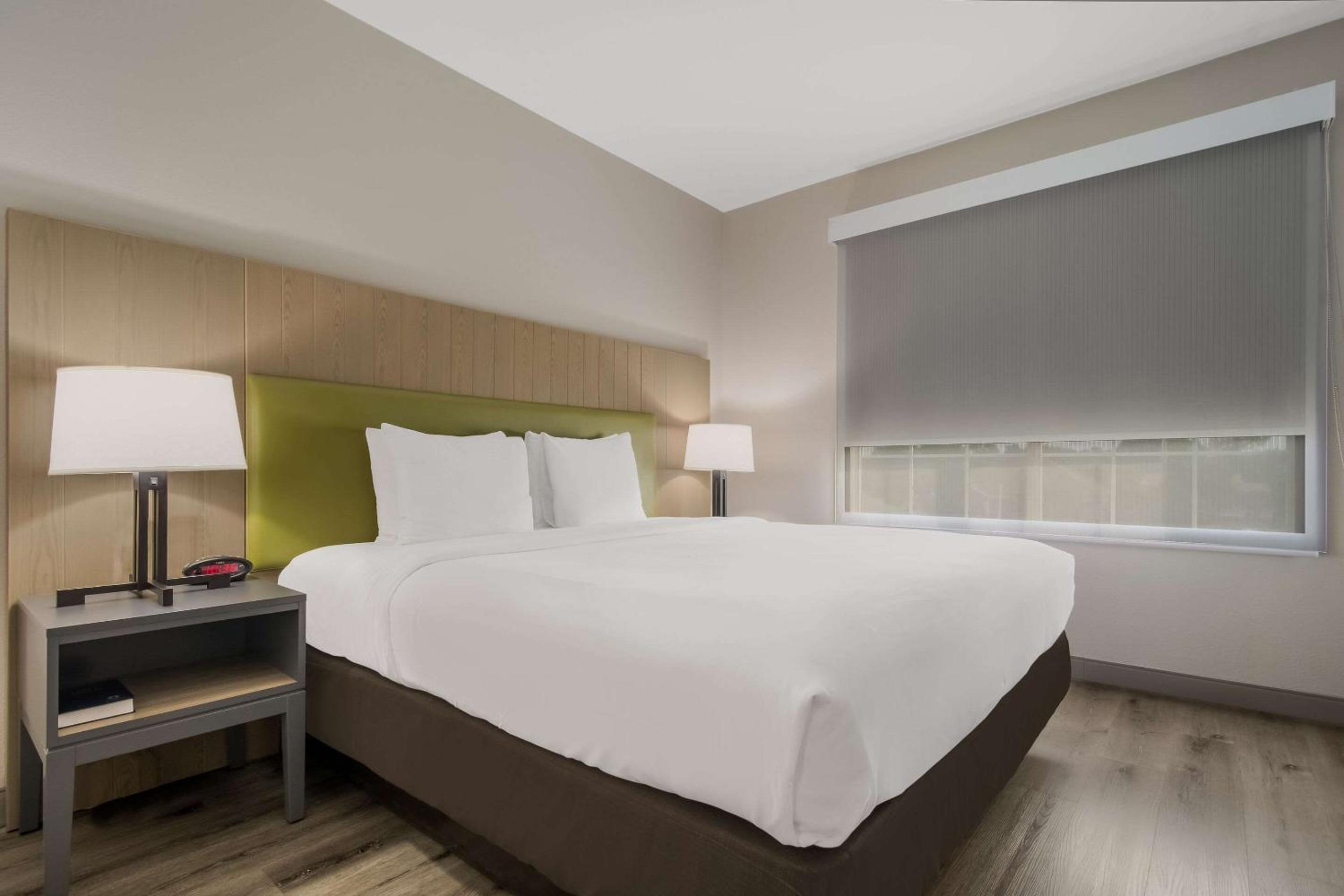 King Room - Non-Smoking - Photo 8
