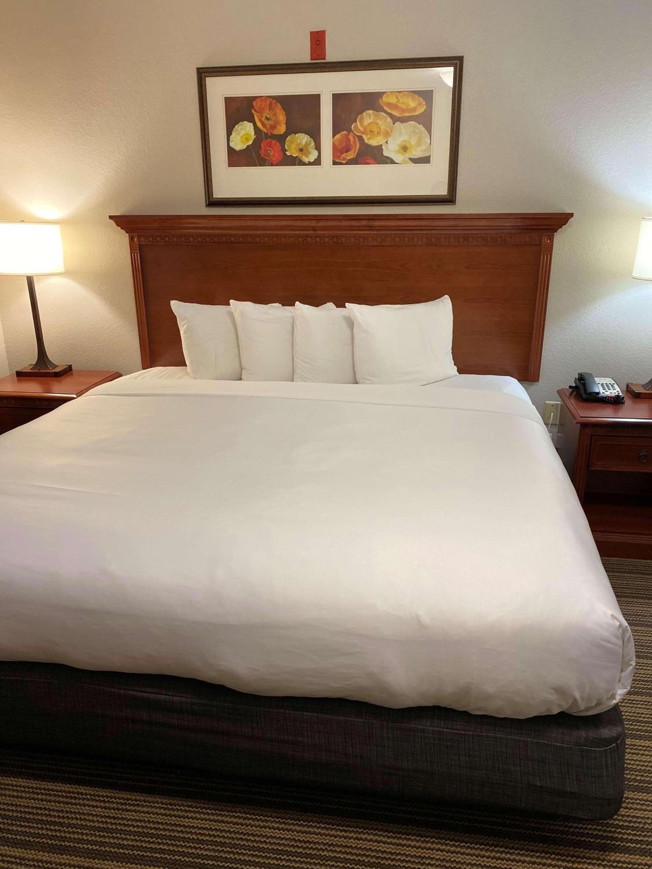 One-Bedroom King Suite - Non-Smoking - Photo 2