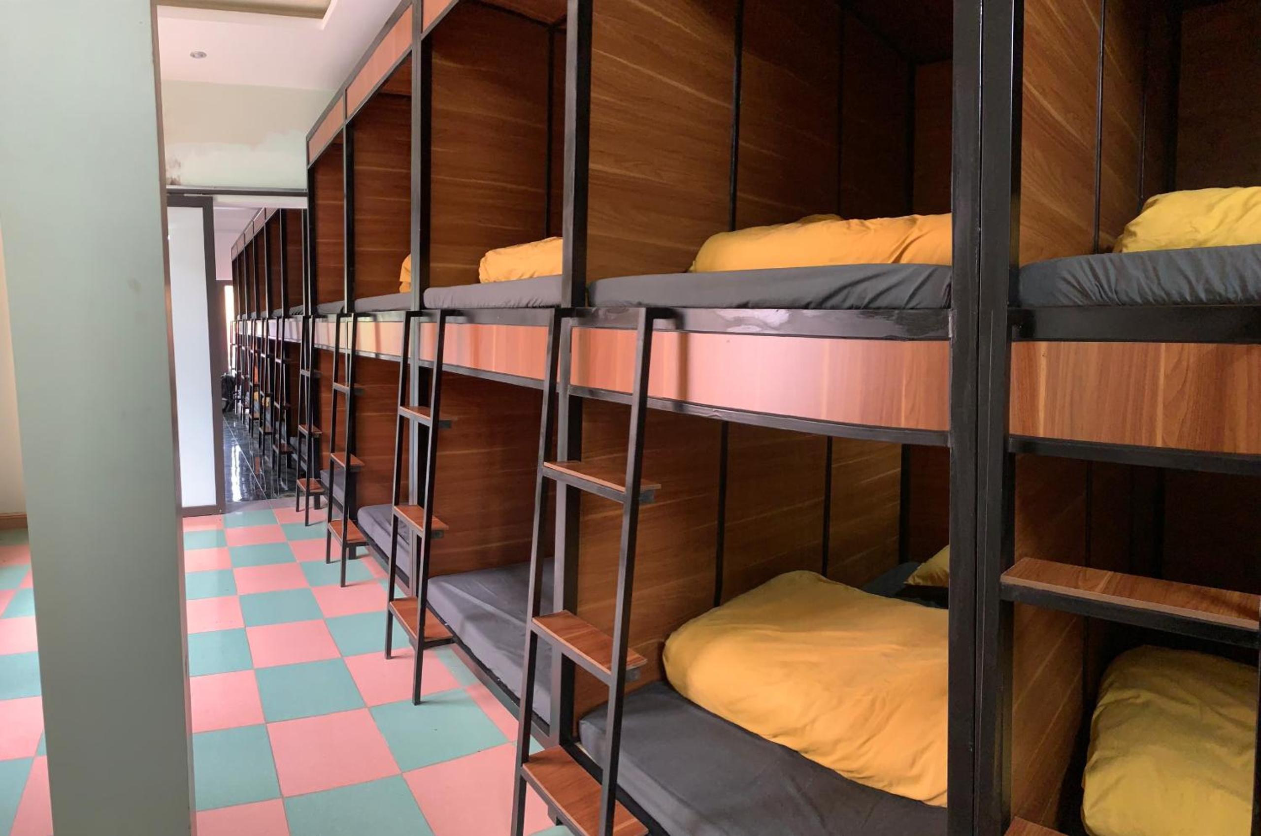 Bunk Bed In Mixed Dormitory Room photo 3