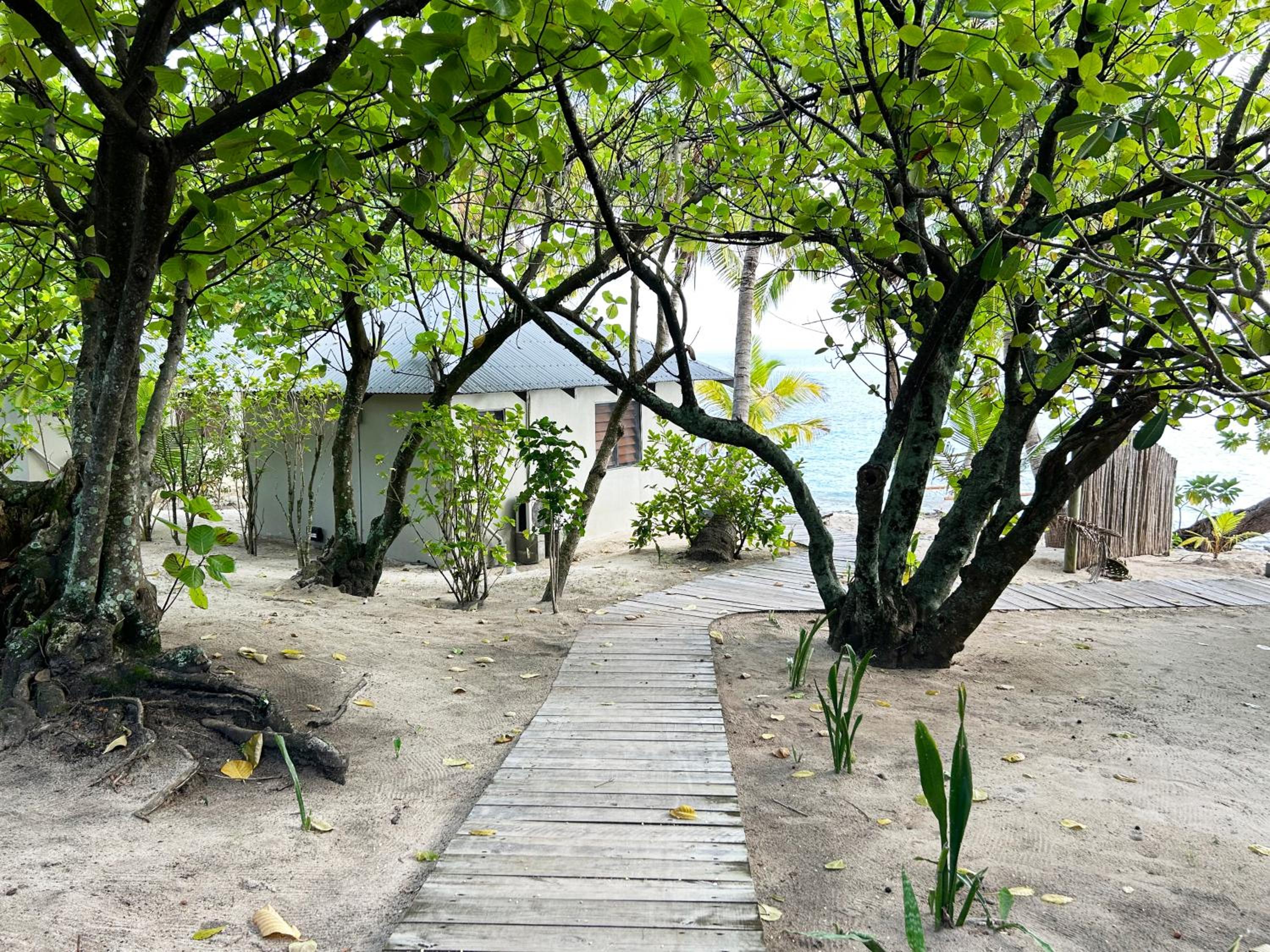 Beachfront Family Bure photo 4