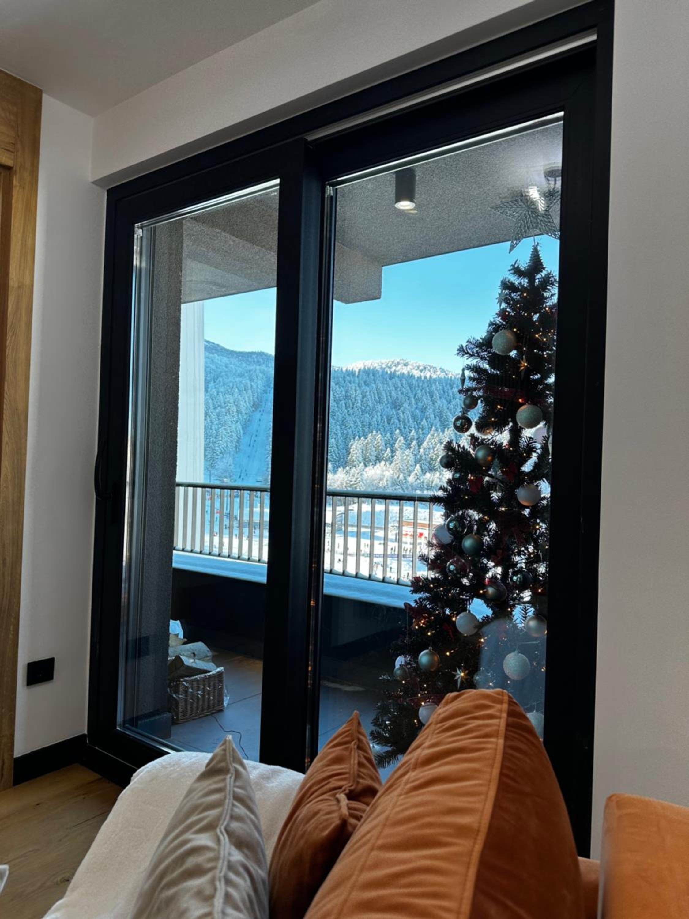 Apartment with Mountain View photo 3