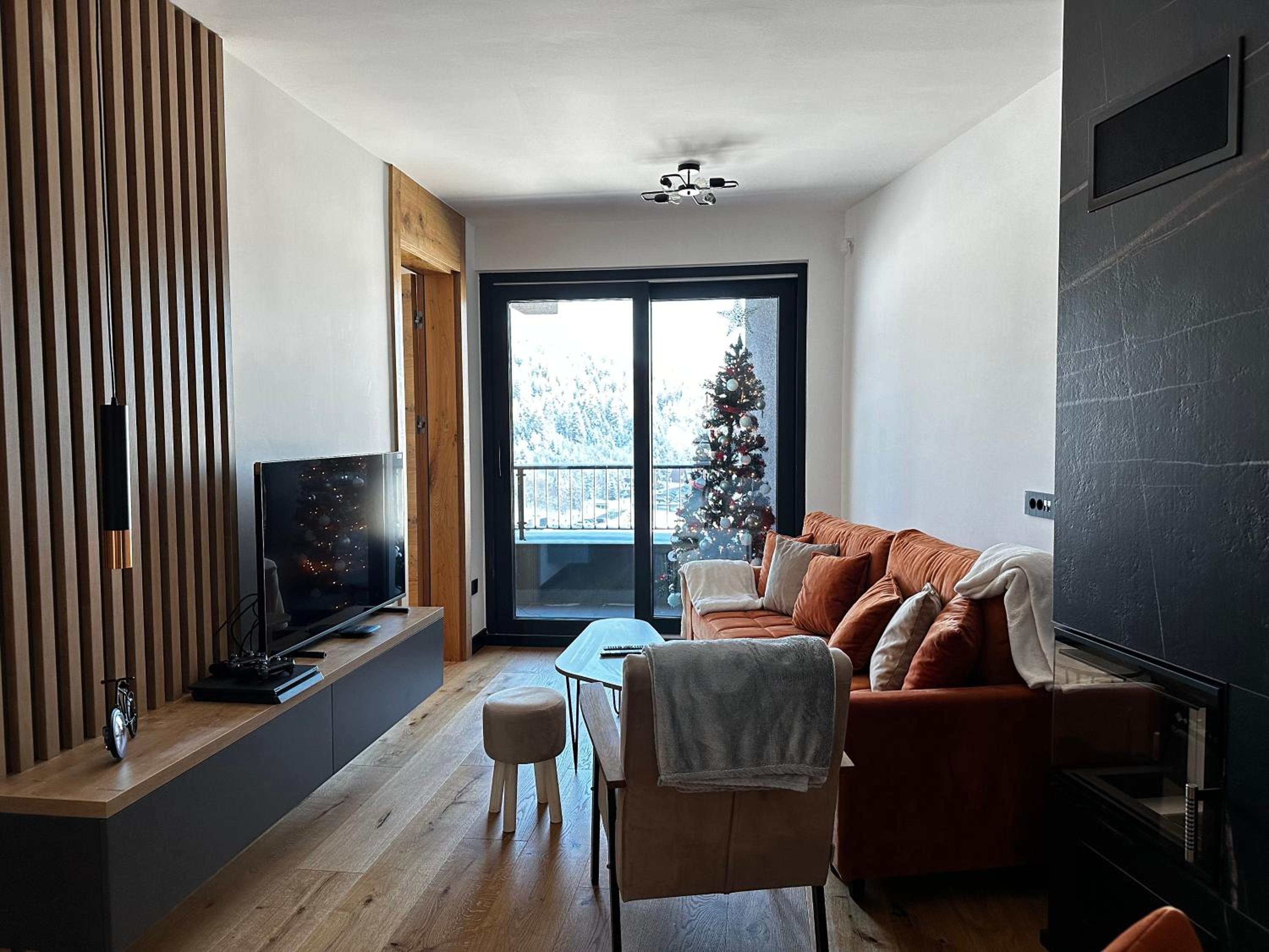 Apartment with Mountain View photo 2