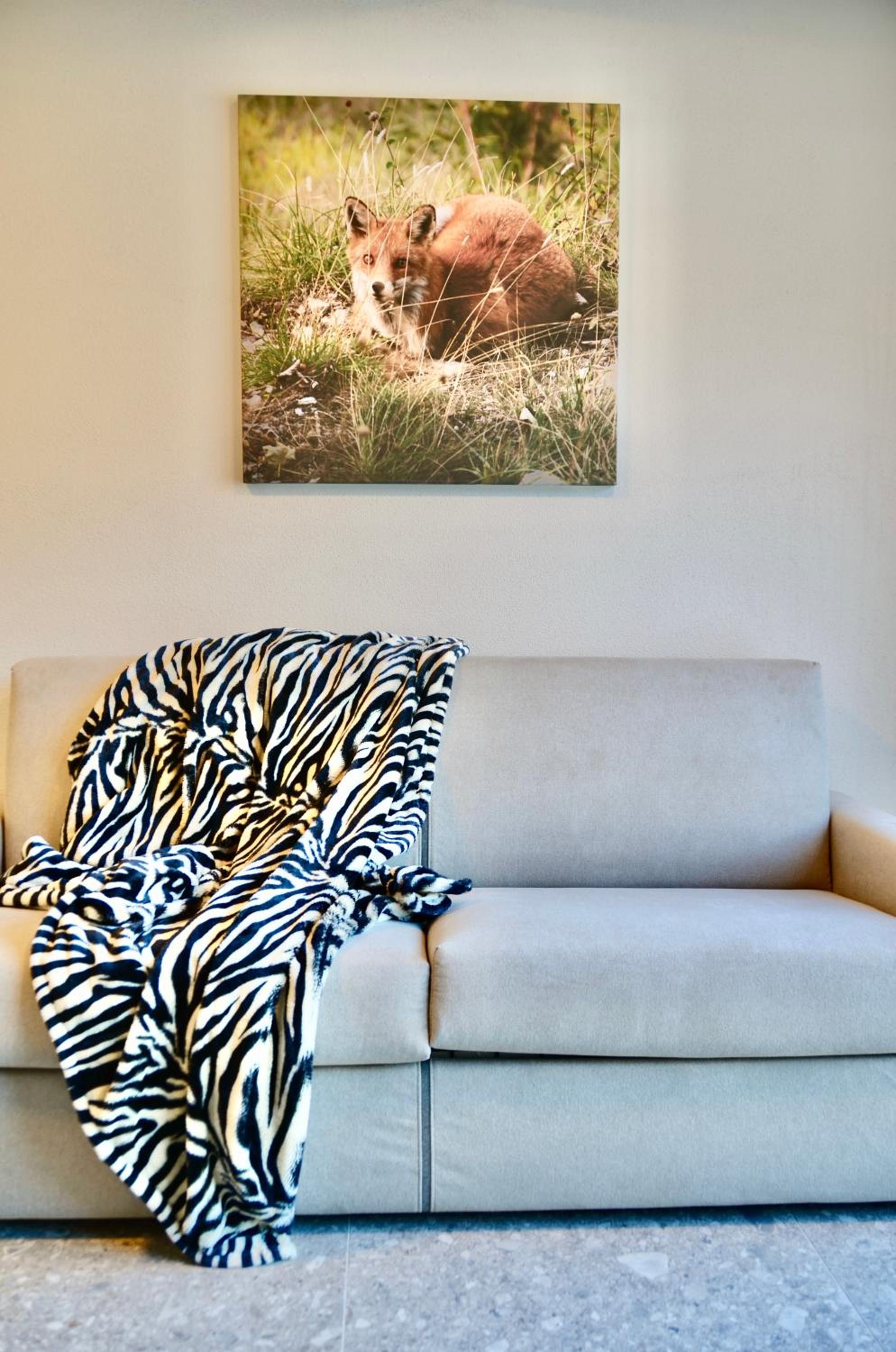 Studio Apartment photo 2