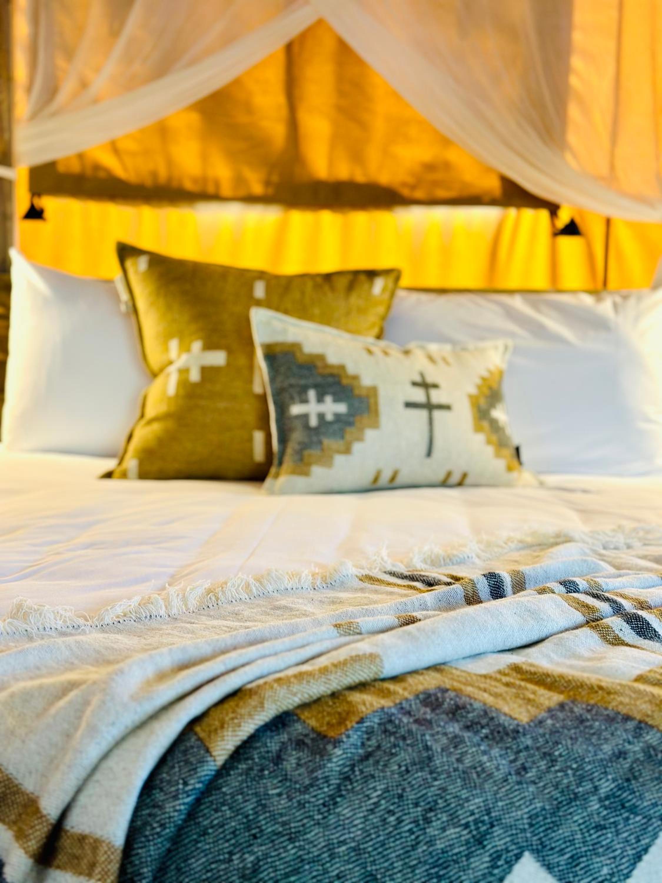 Tent photo 1