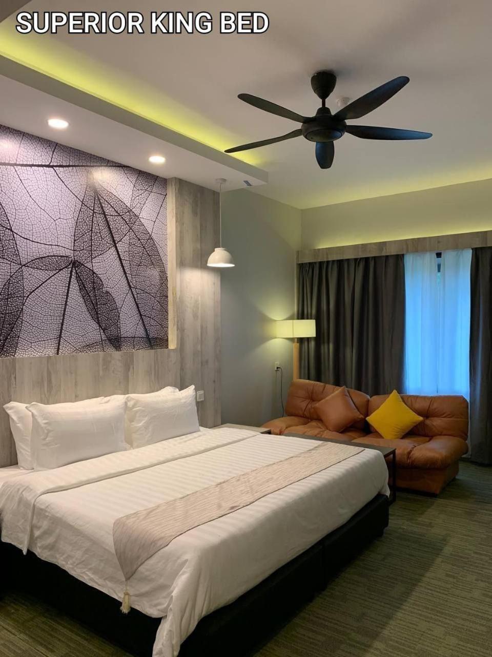 Superior Double or Twin Room - Photo 4