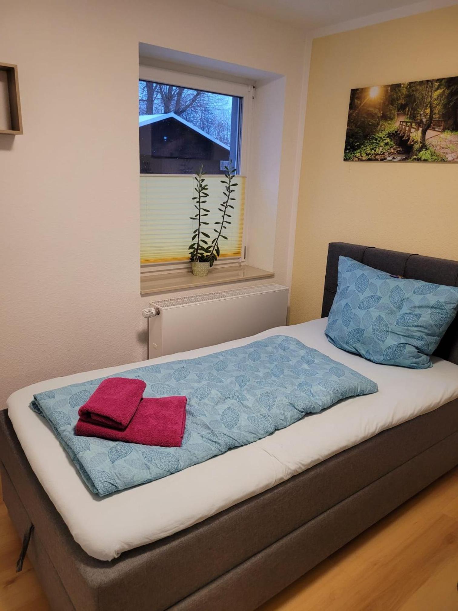 Single Room photo 1