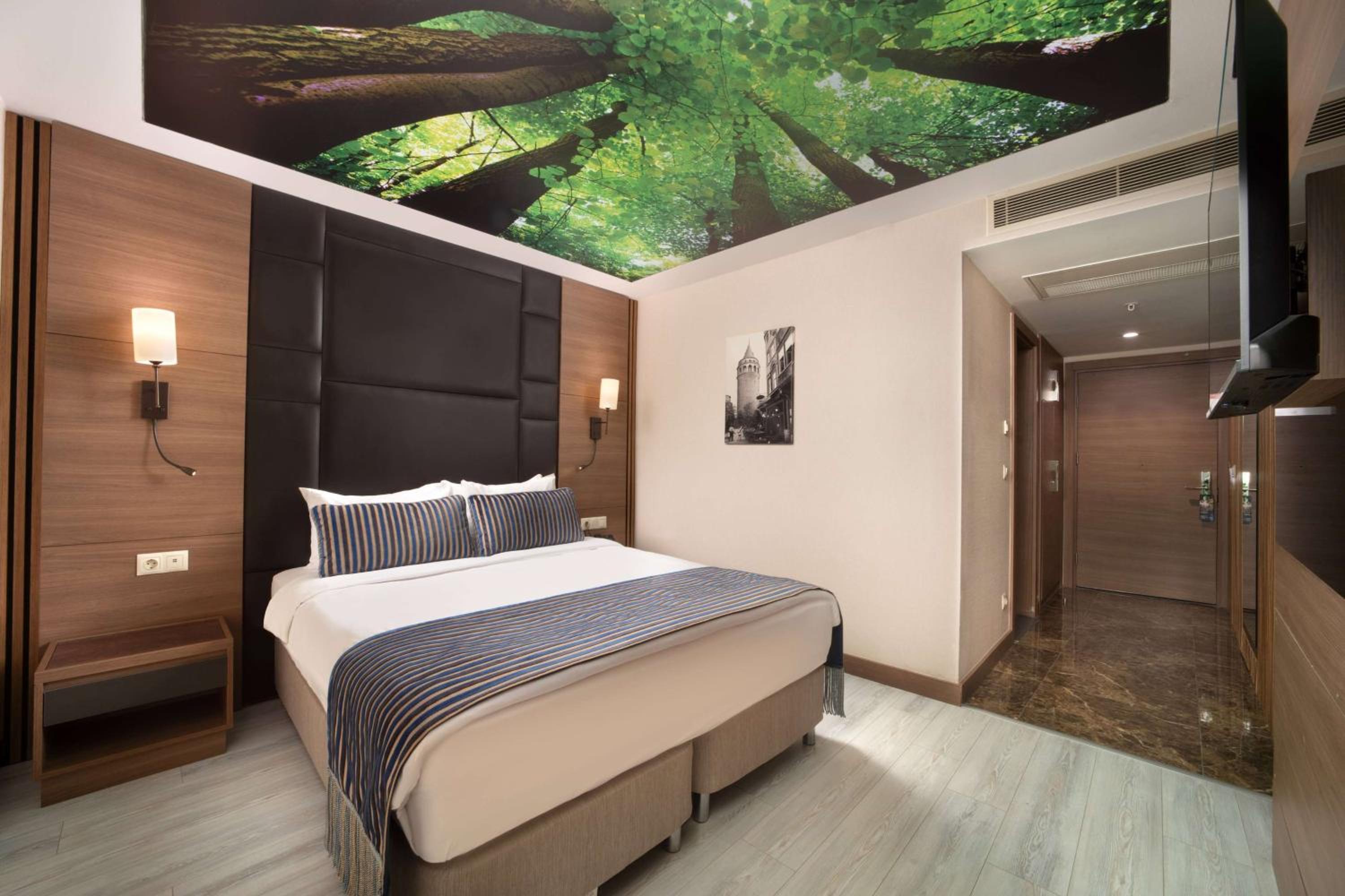 Accesible Room photo 1