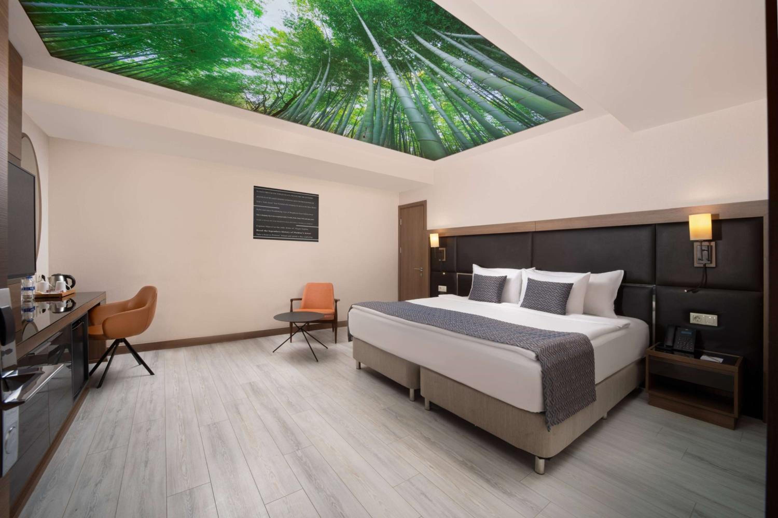 Standard Room , No Window, First Floor