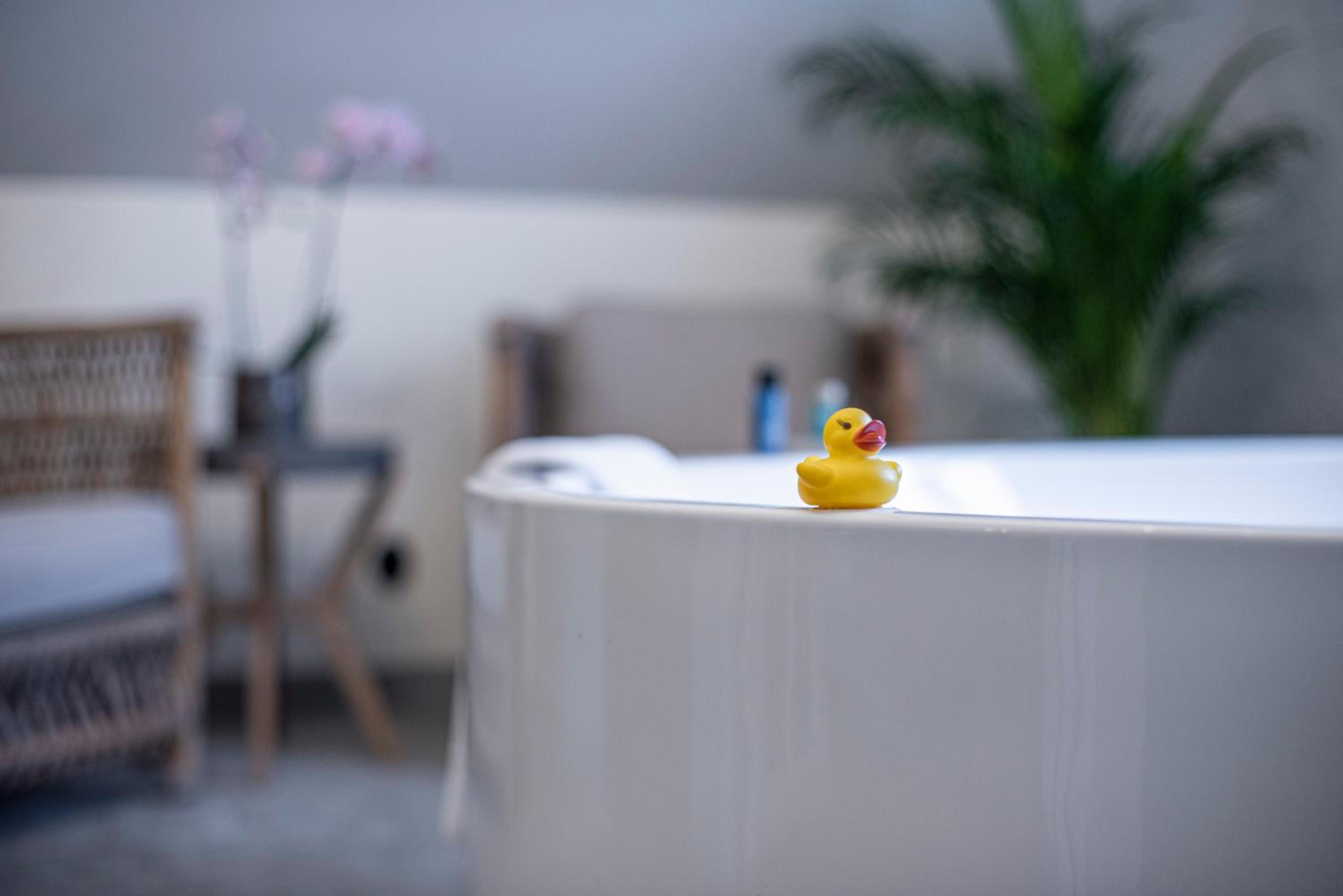 King Suite with Bathtub - Photo 15