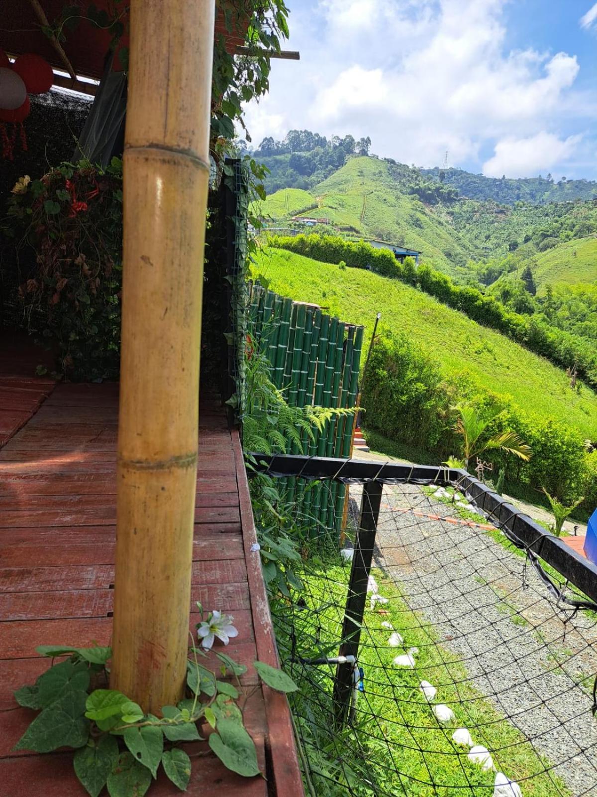 Suite with Mountain View photo 2
