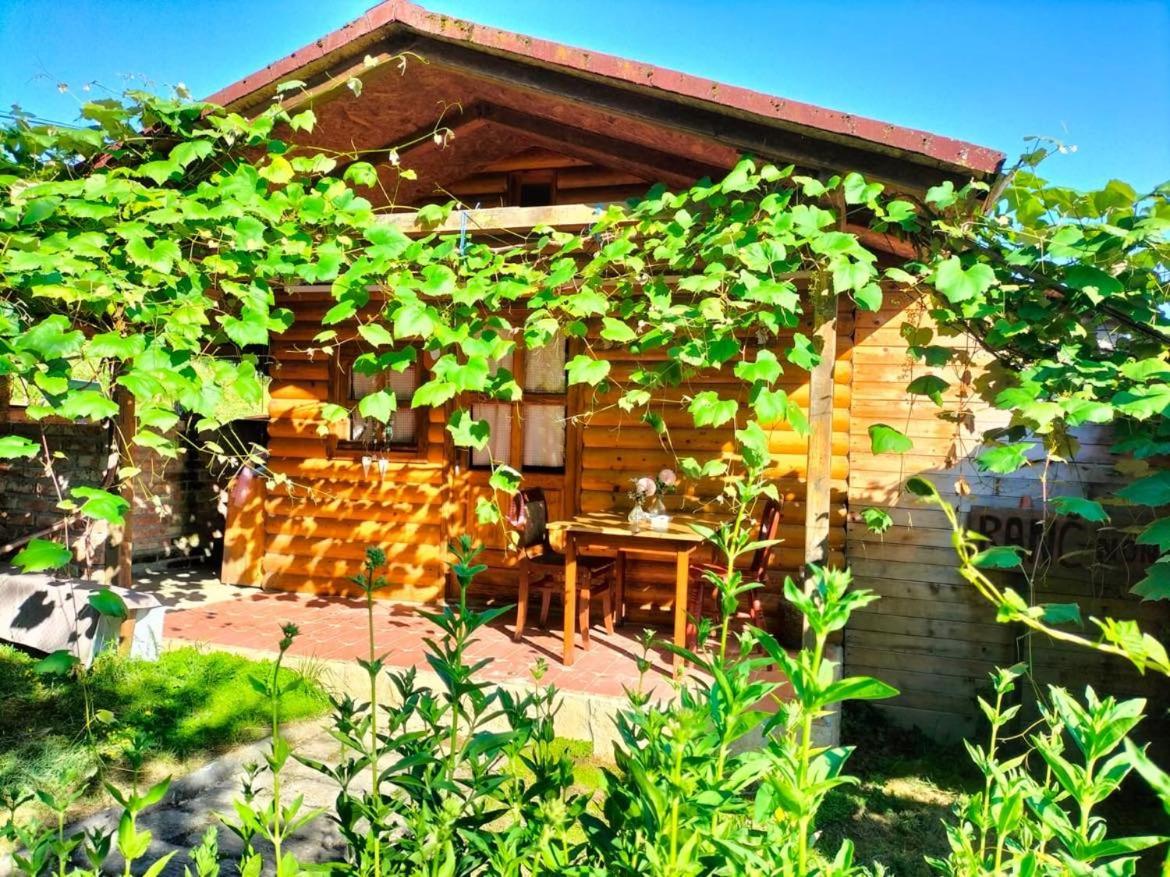 One-Bedroom House photo 2