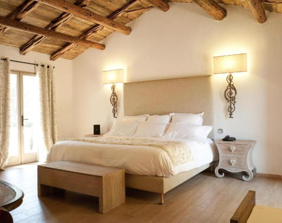 Suite - Photo 1