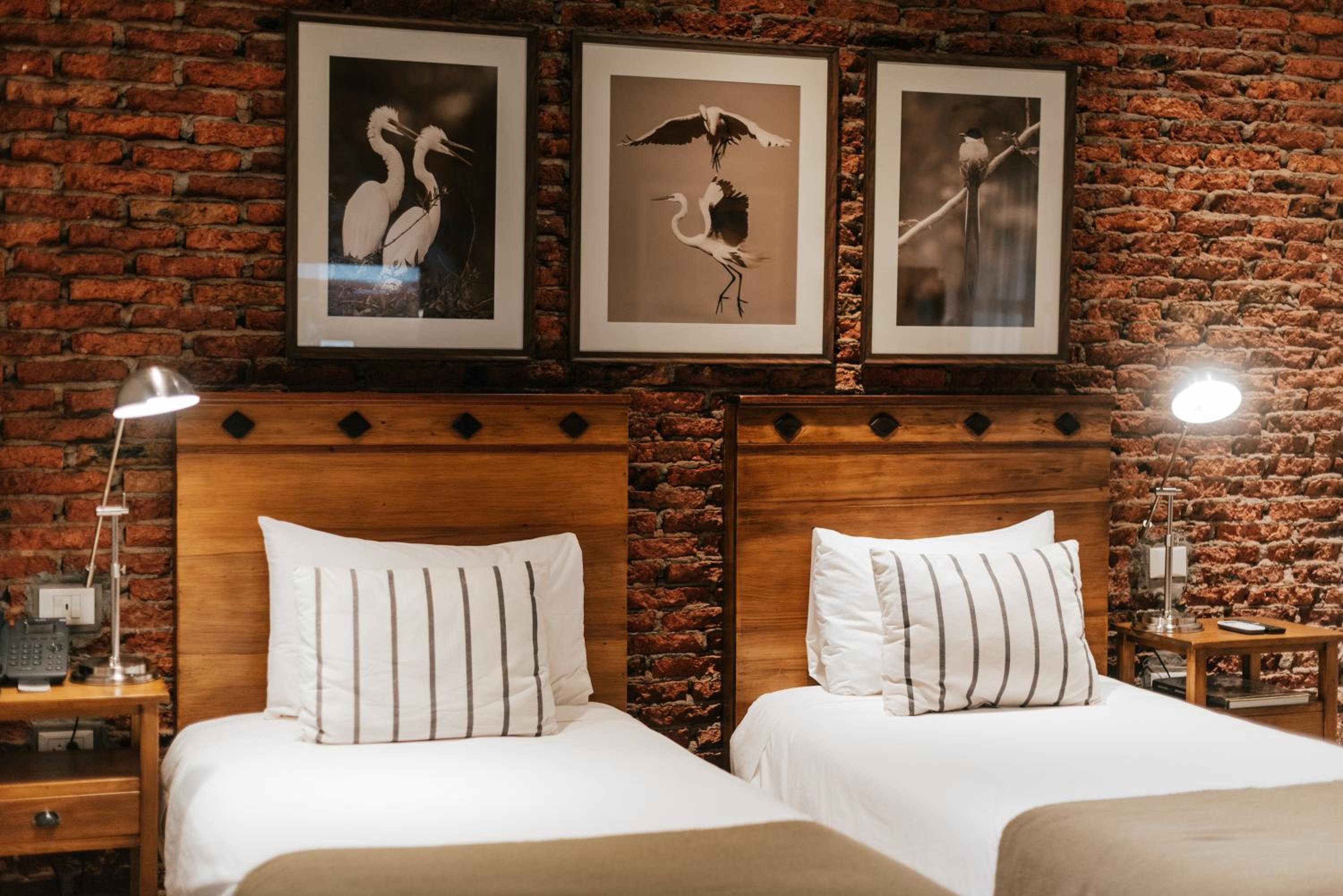 Deluxe Double Room photo 1