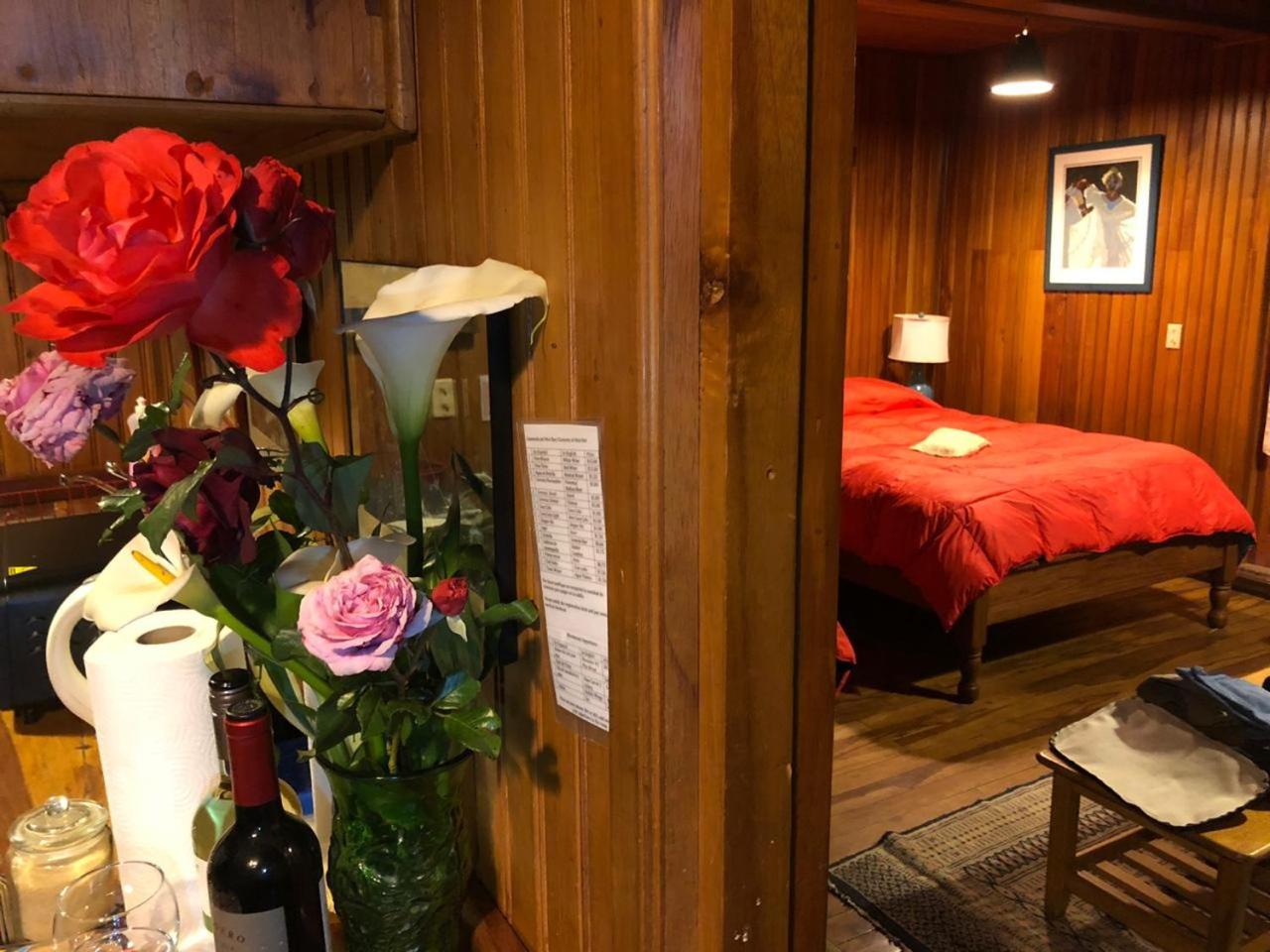 Suite with Lake View photo 1