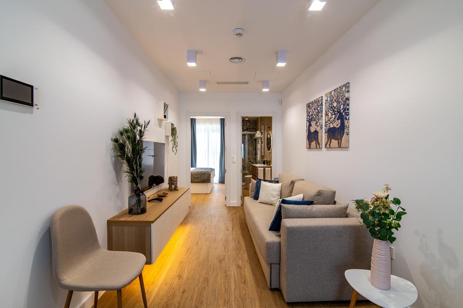 Apartment with Terrace