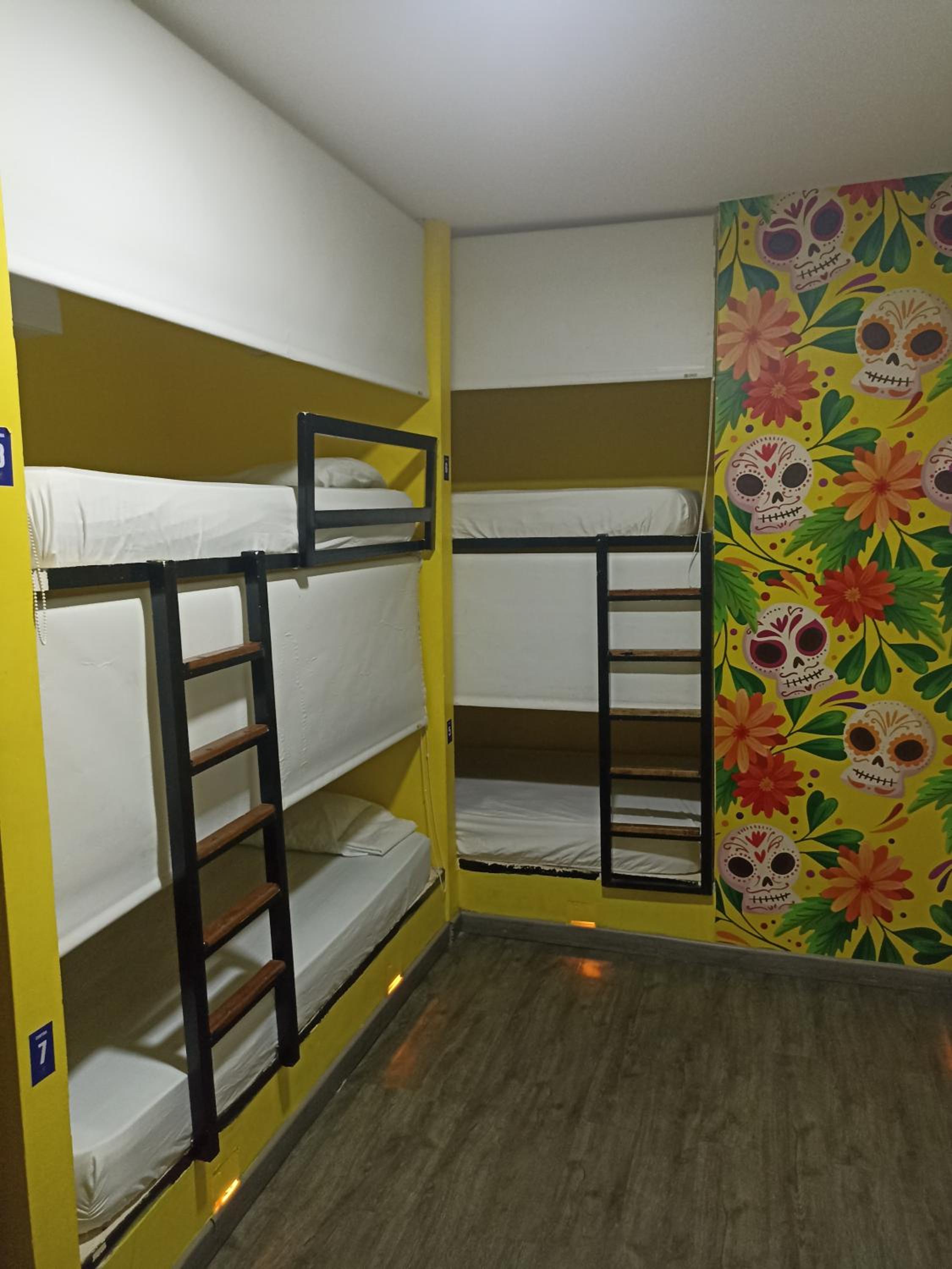 Single Bed in Female Dormitory Room photo 1
