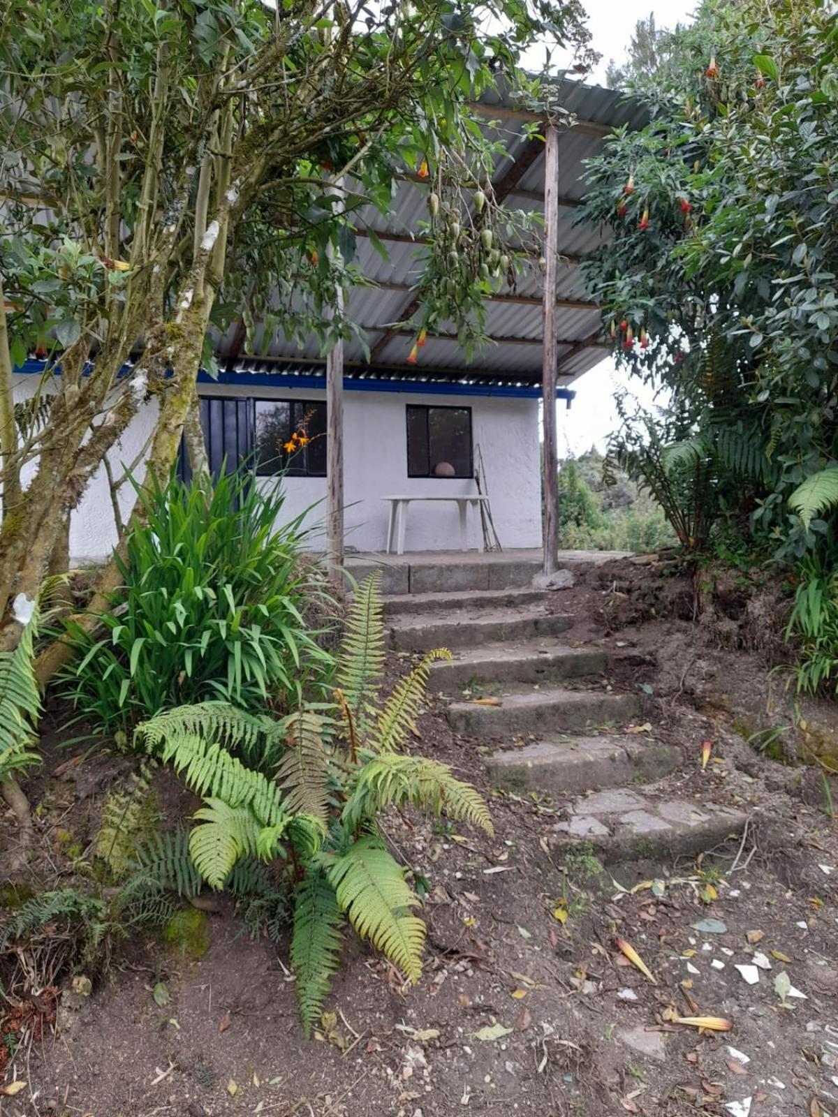 Standard Villa photo 2