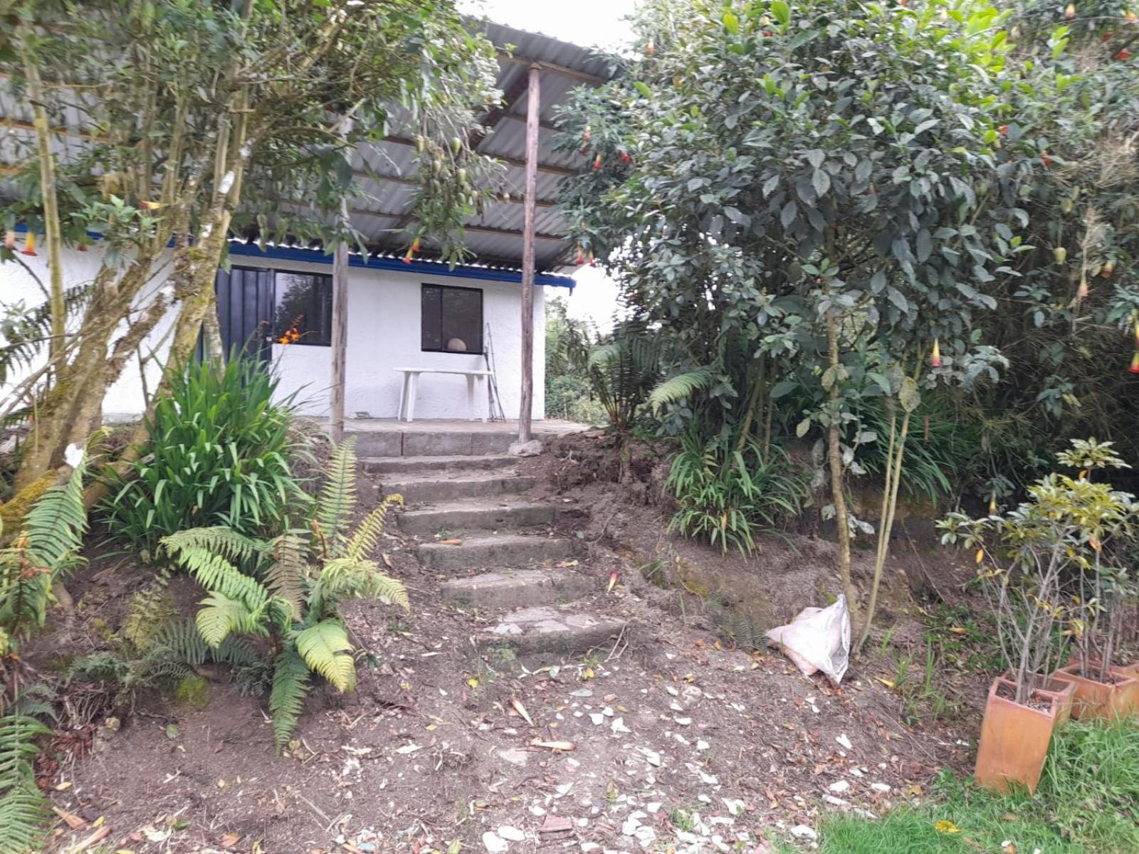 Standard Villa photo 3