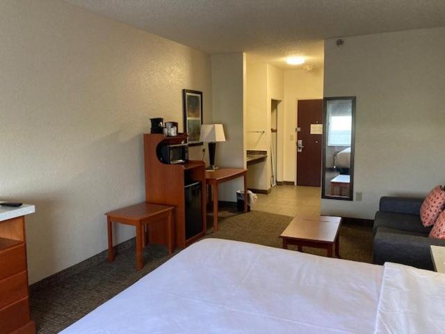 King Room with Roll-In Shower and Sofabed - Mobility Accessible/Non-Smoking photo 1