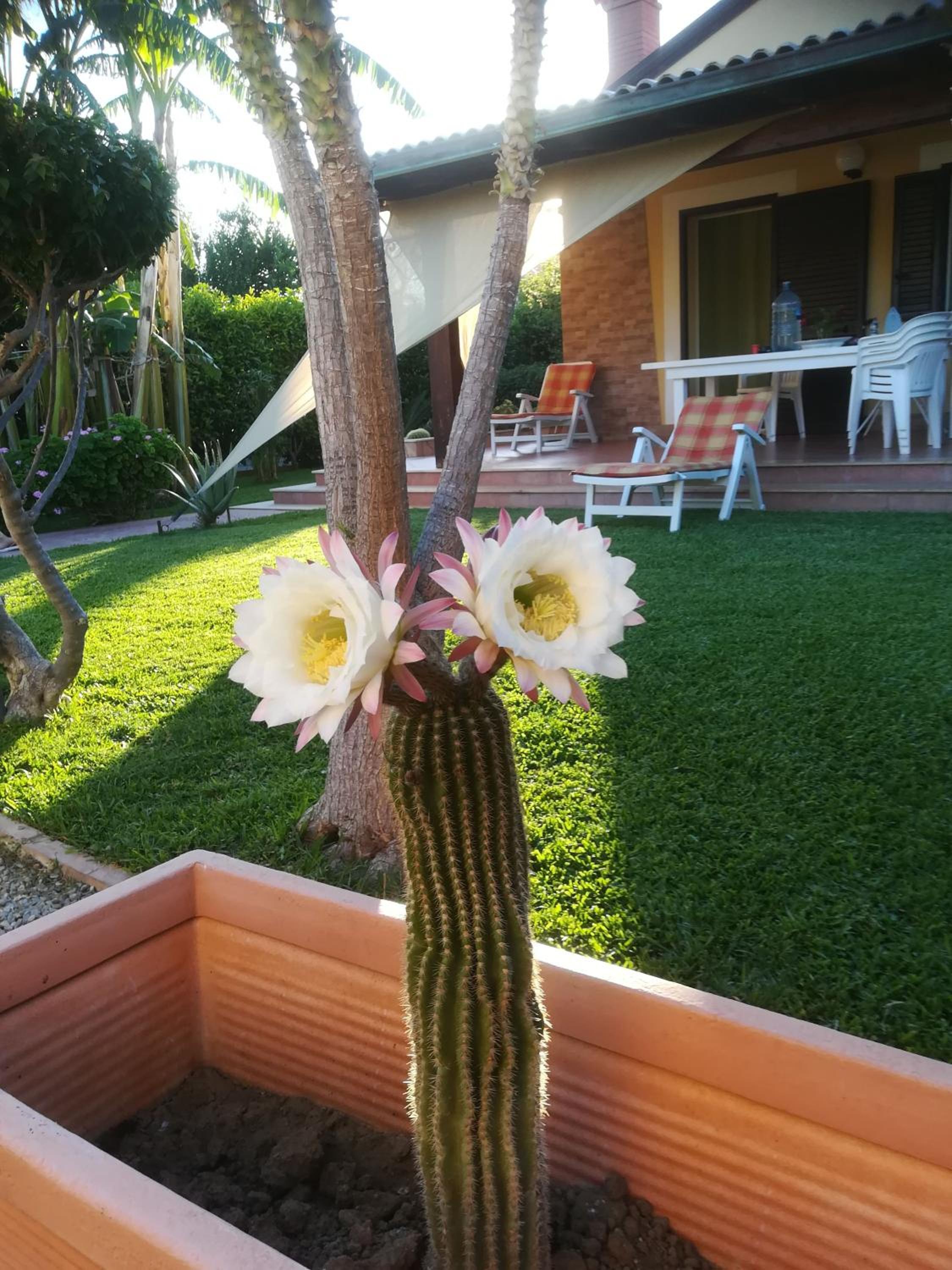 Villa photo 2
