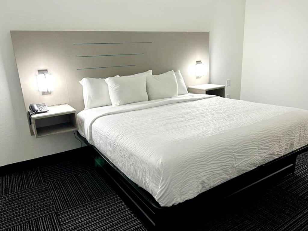 King Room - Non-Smoking - Photo 4