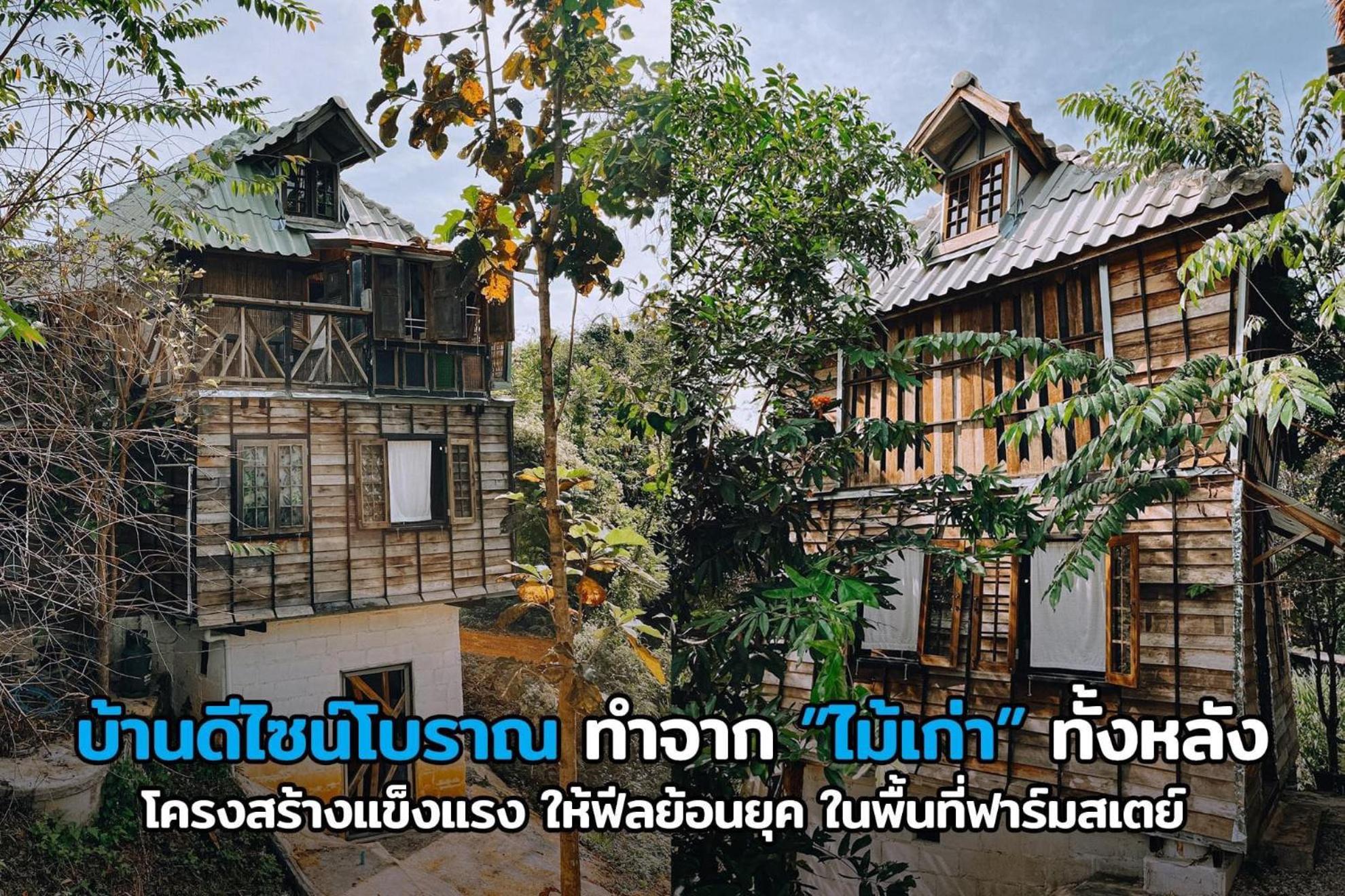 Family Bungalow - Photo 2