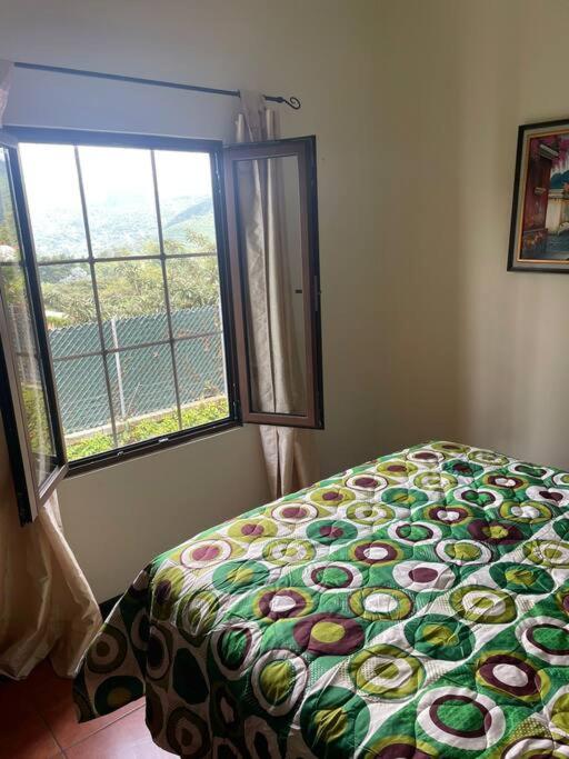 Three-Bedroom House photo 2