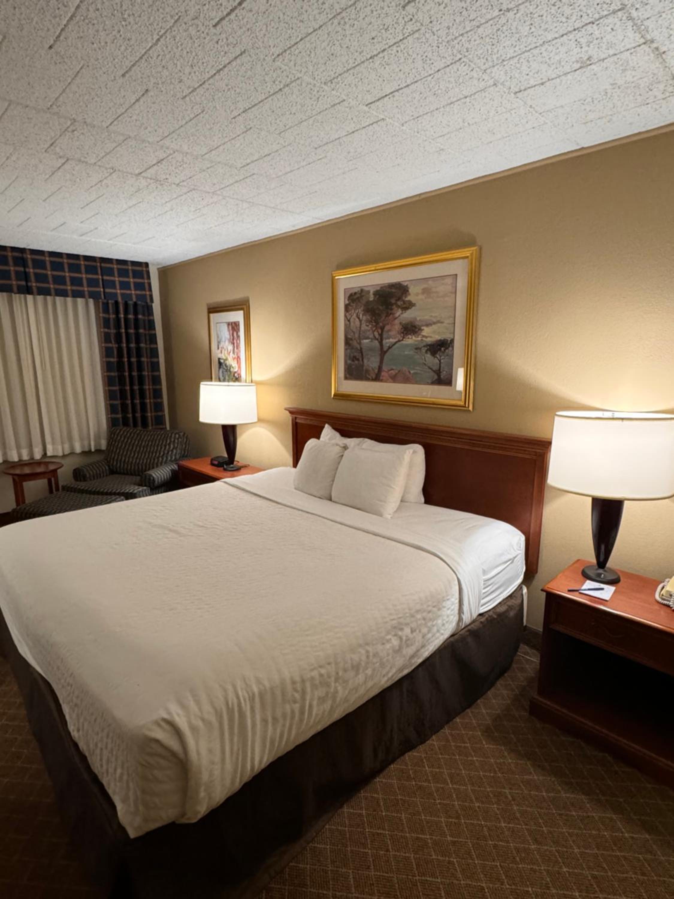 King Room - Non-Smoking photo 3