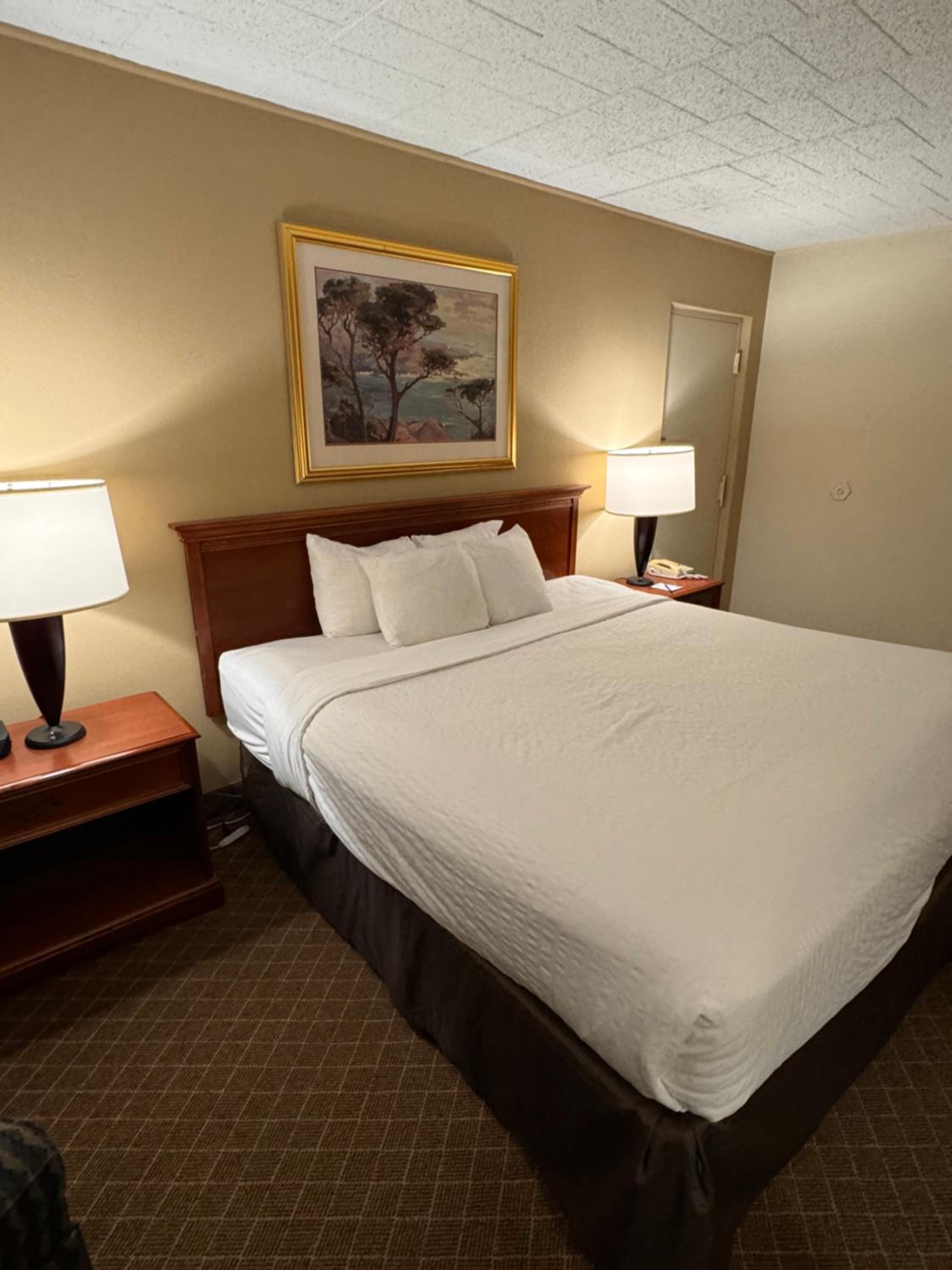 King Room - Non Smoking photo 1