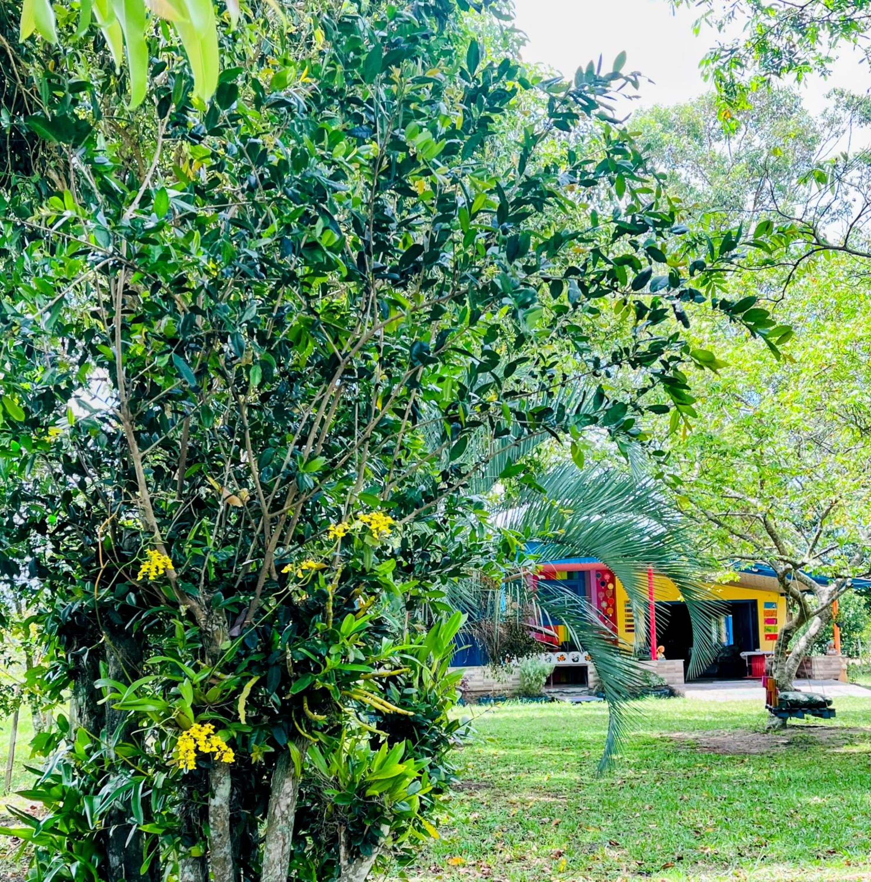 Three-Bedroom Villa photo 3