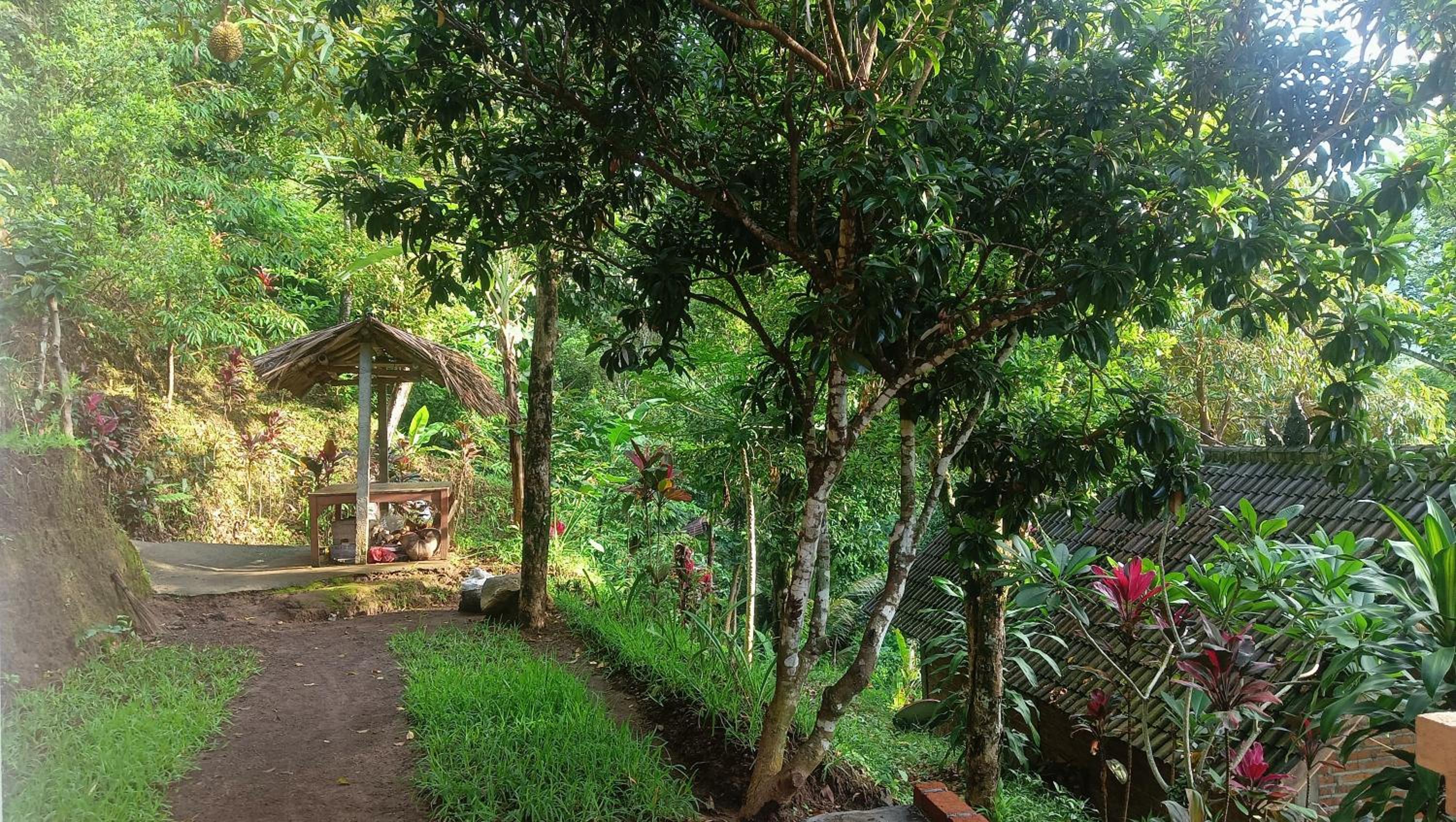 Double Room with Garden View - Photo 6