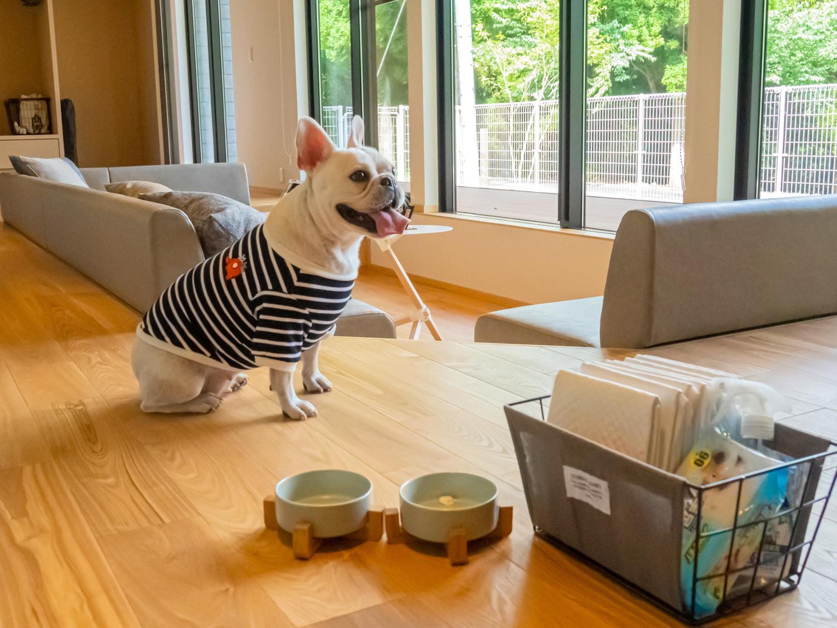 105 / Pets Allowed  - Photo 90