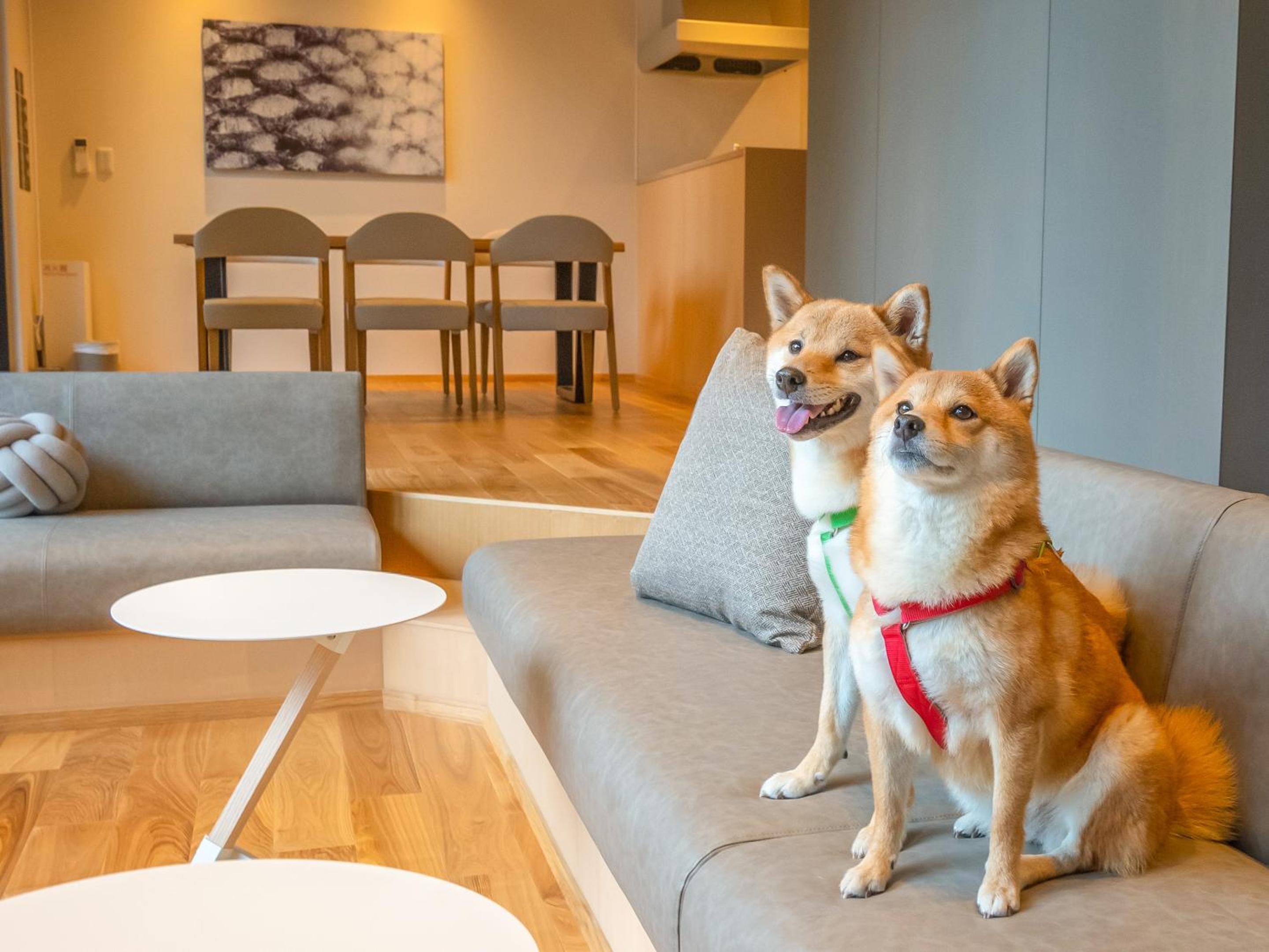 101 / No Pets Allowed - Photo 2
