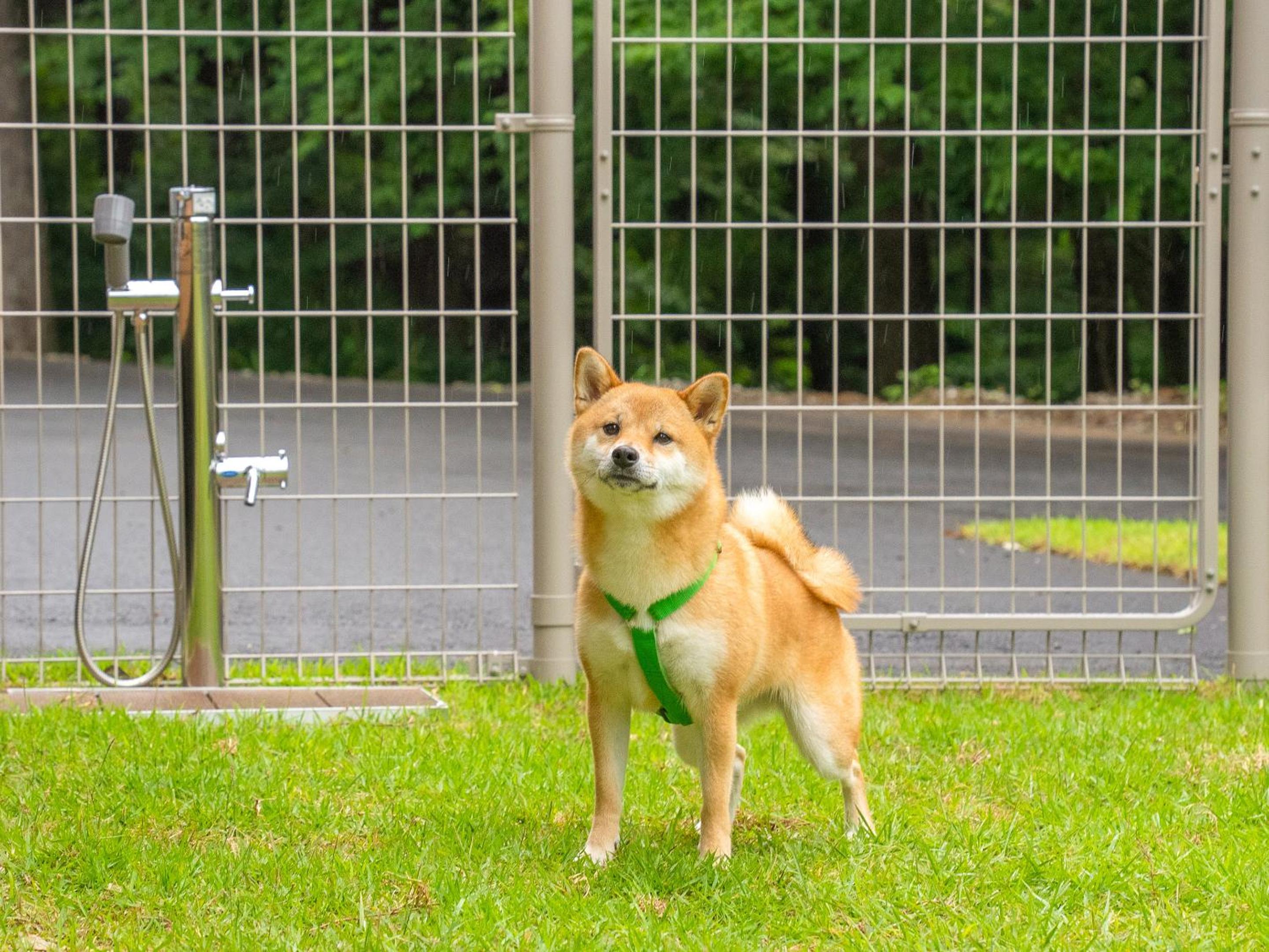 105 / Pets Allowed  - Photo 60